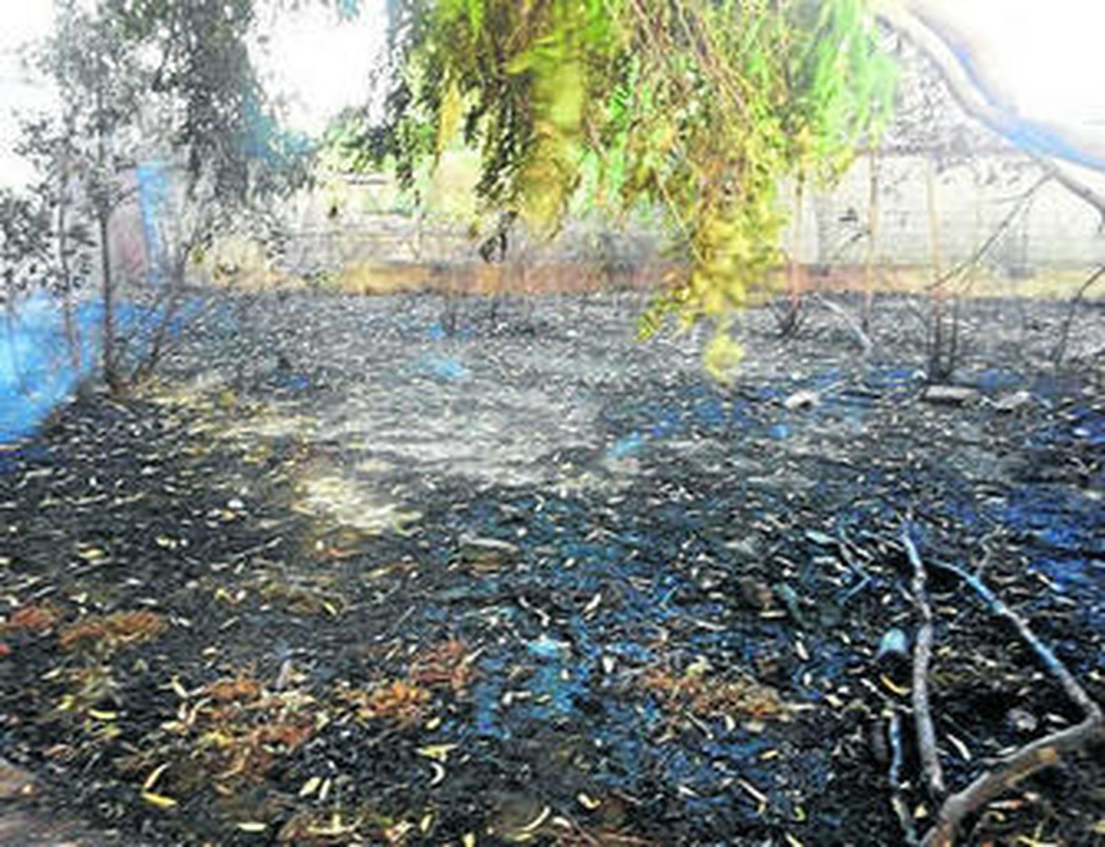 Imagen de la zona calcinada, ayer por la tarde.