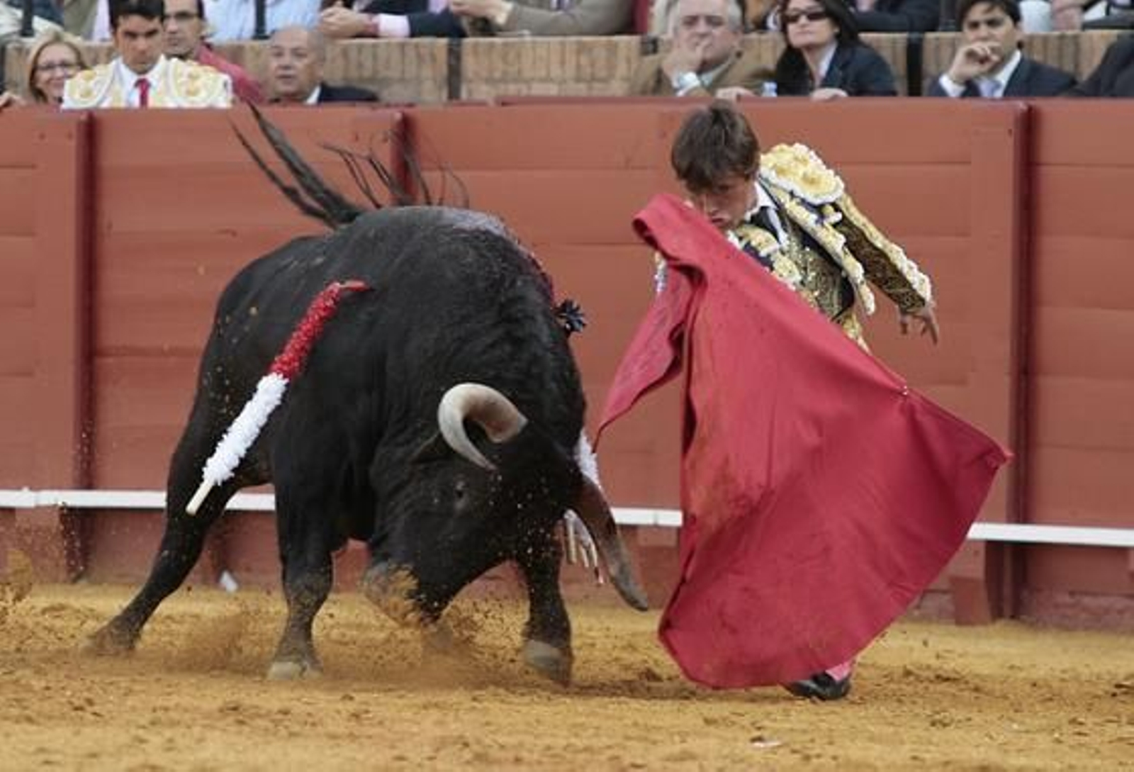 En sus primeros momentos, el diestro castellano-manchego recogió con muletazos por bajo al quinto astado.

Foto: Juan Carlos Muñoz
