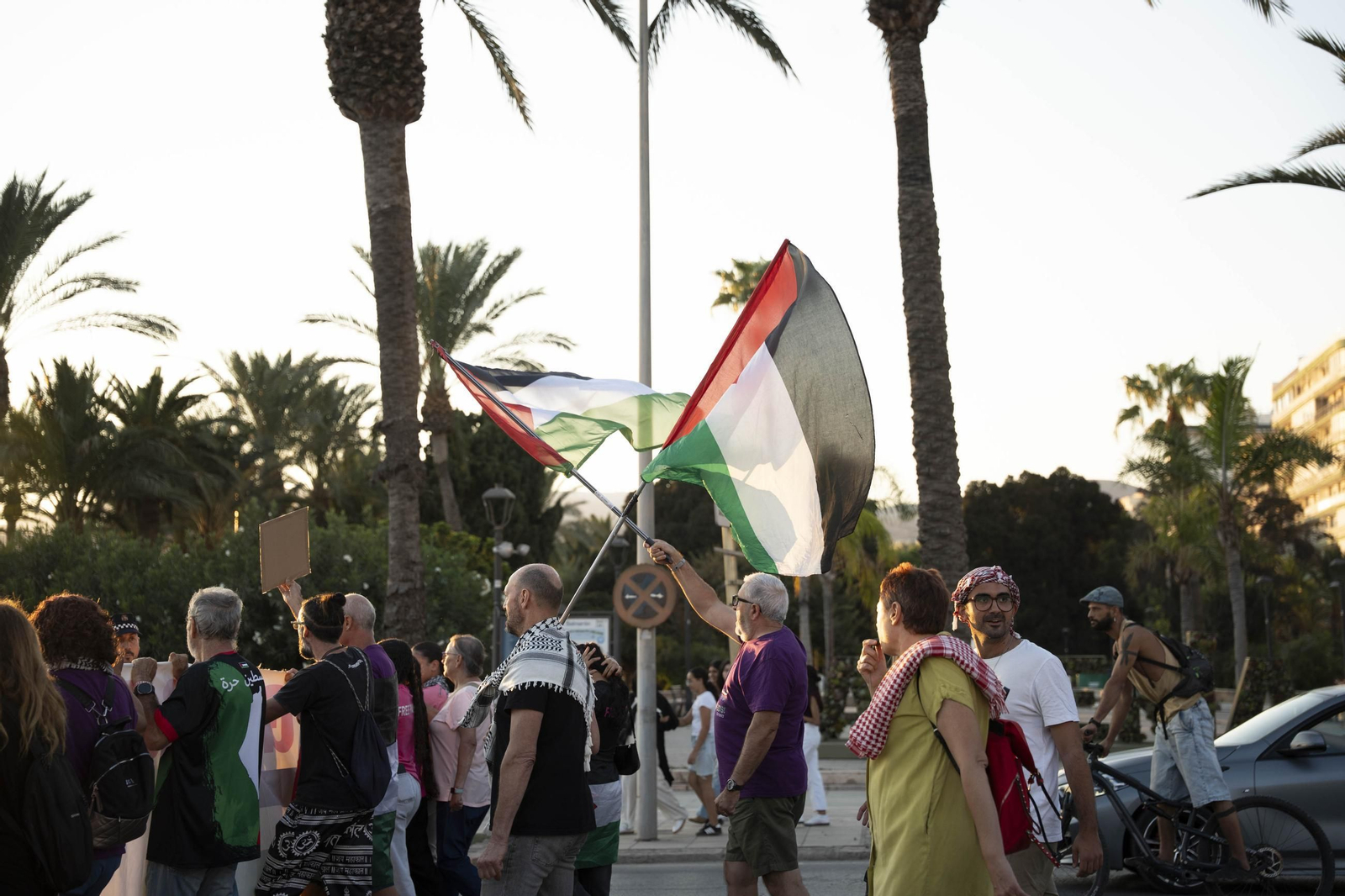 Manifestación convocada por la Plataforma Almería por Palestina