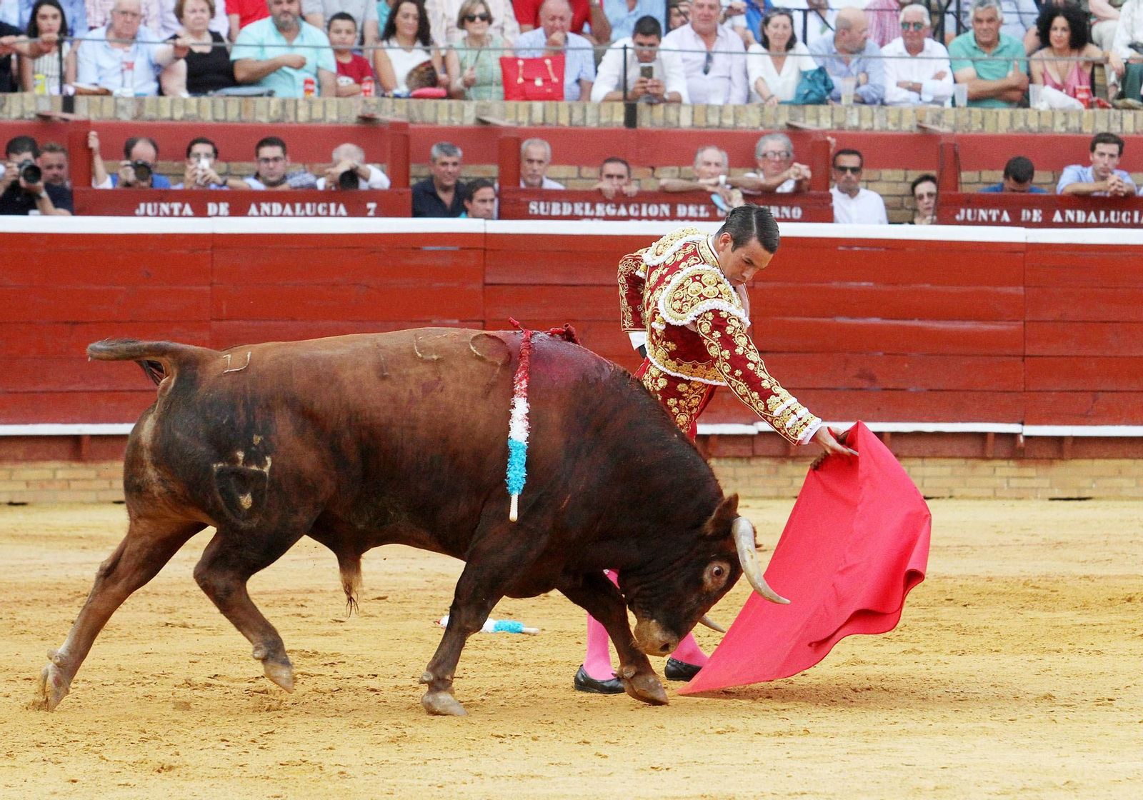 Imágenes de José María Manzanares durante la corrida de esta tarde en la Plaza de toros La Merced