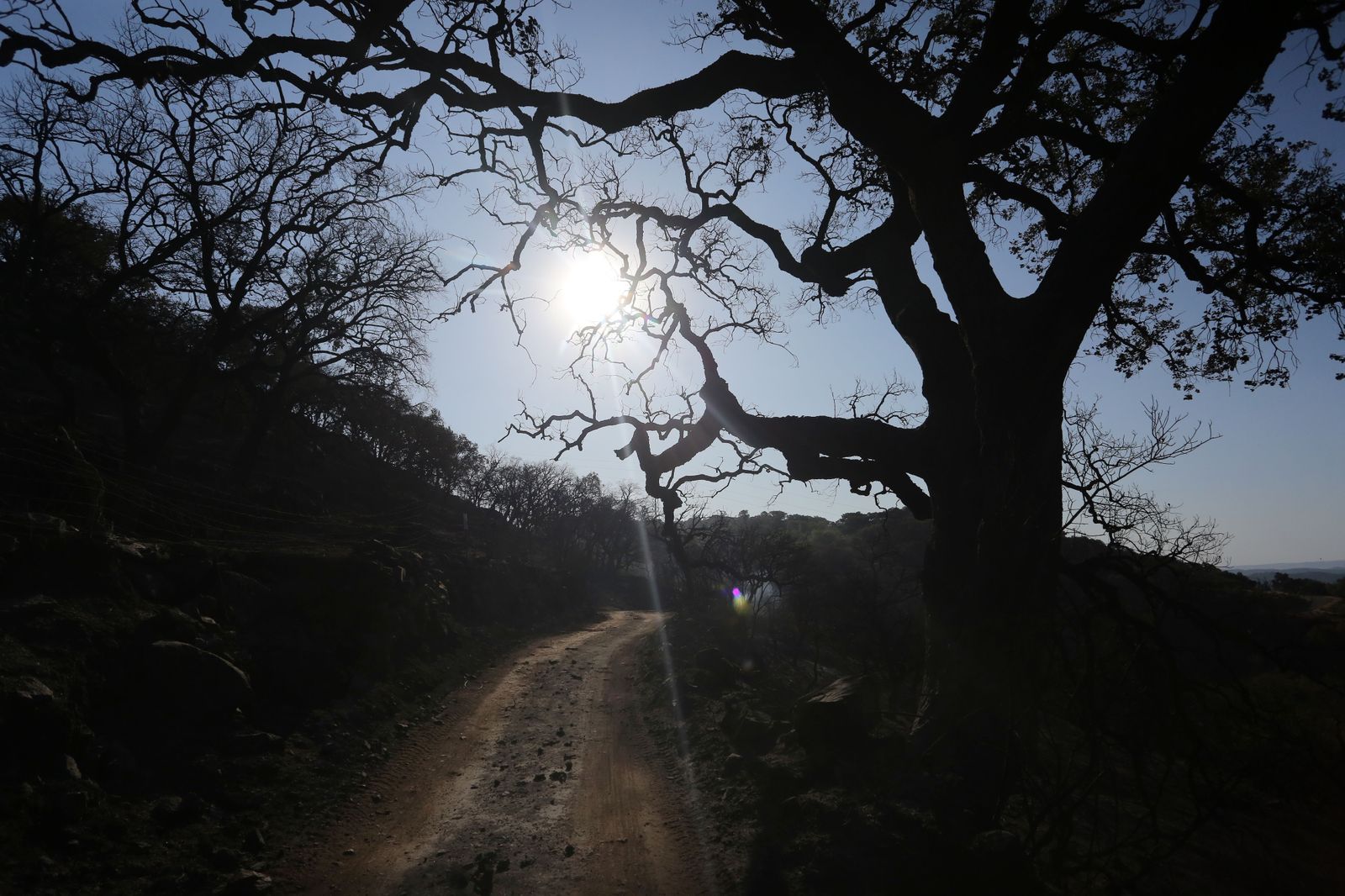 Imágenes del área afectada por el fuego del segundo día en el incendio de Almonaster