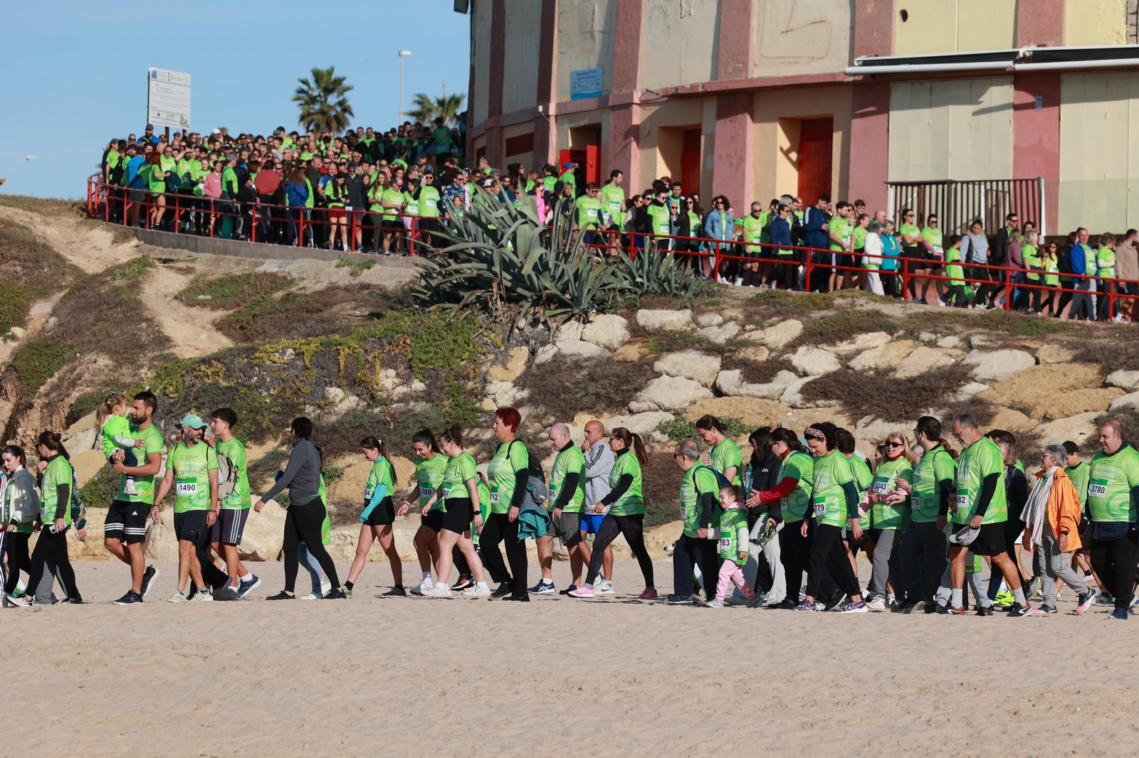 Búscate en las fotos de la XI Carrera en Marcha Contra el Cáncer de Cádiz