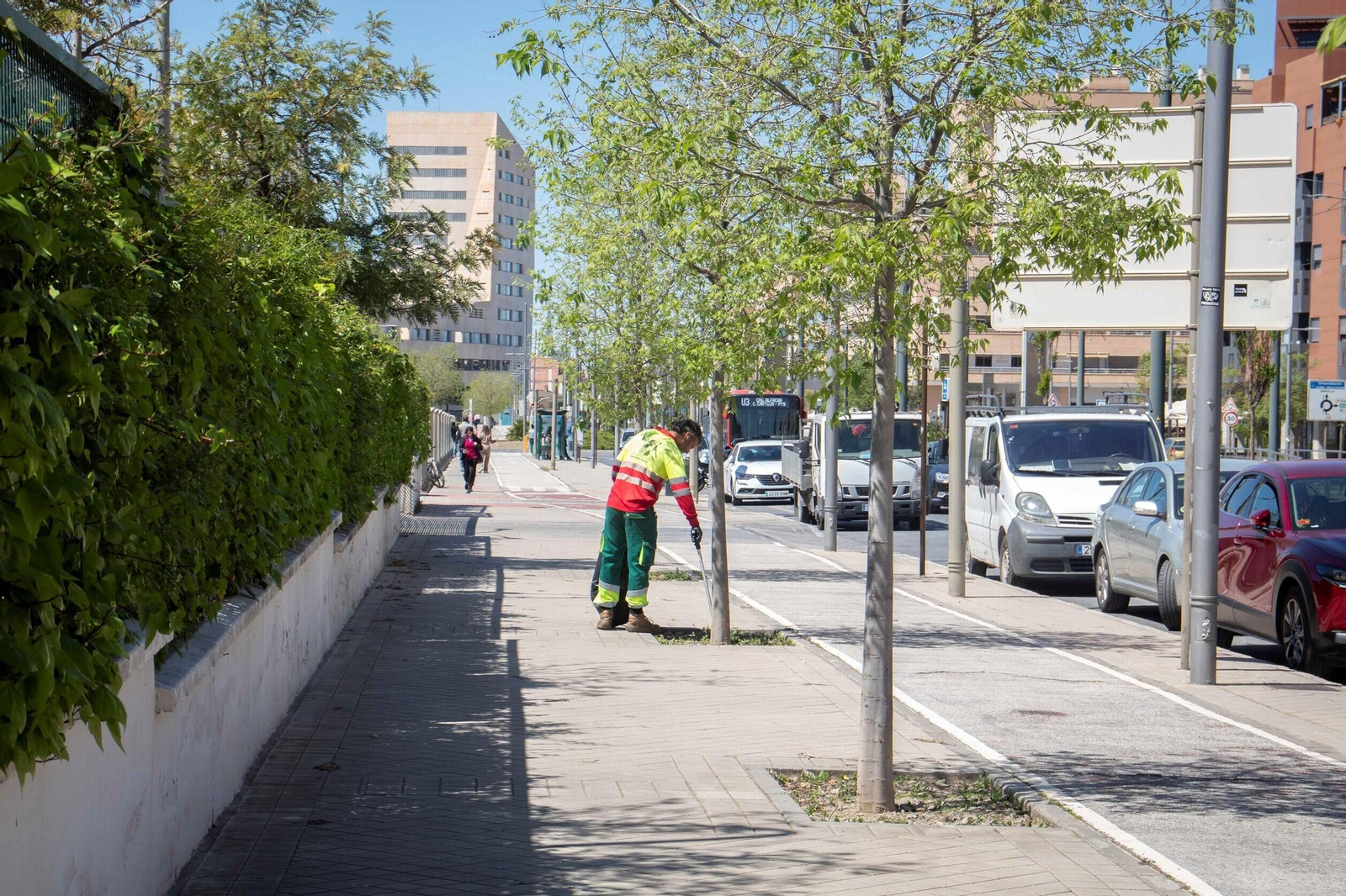 El Zaidín, las fotos de un barrio que mezcla tradición y modernidad