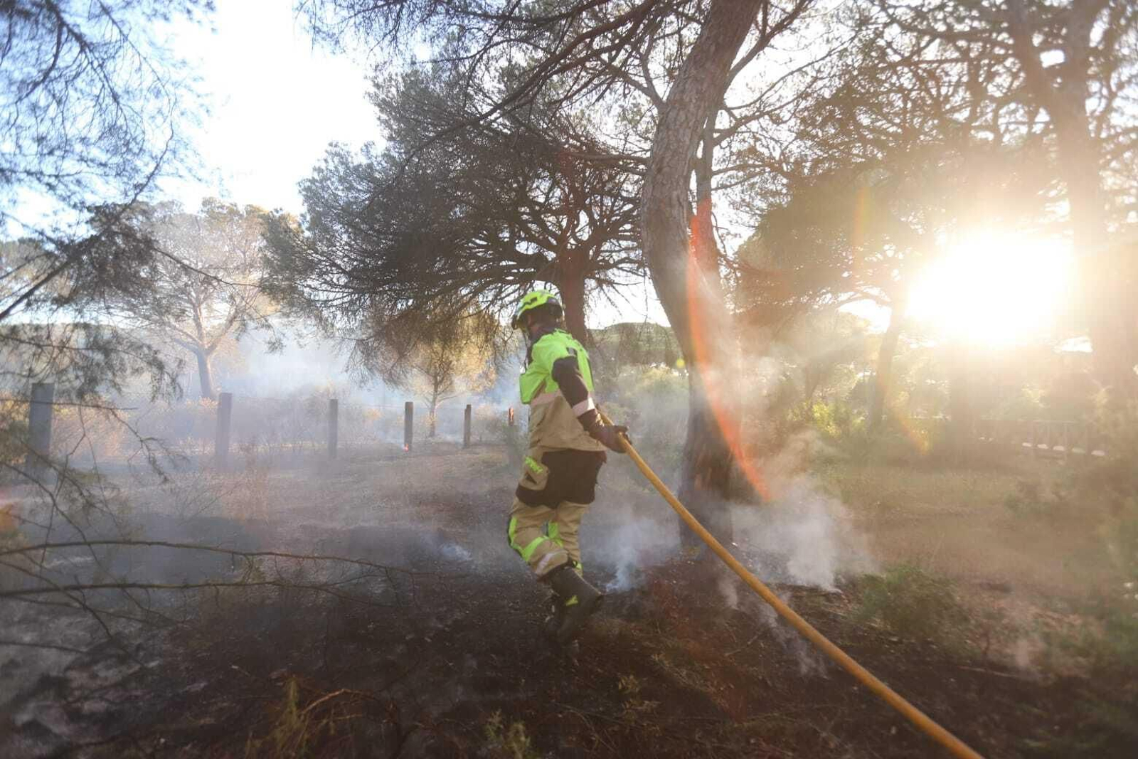 Fuego en la laguna de El Portil: las imágenes del incendio