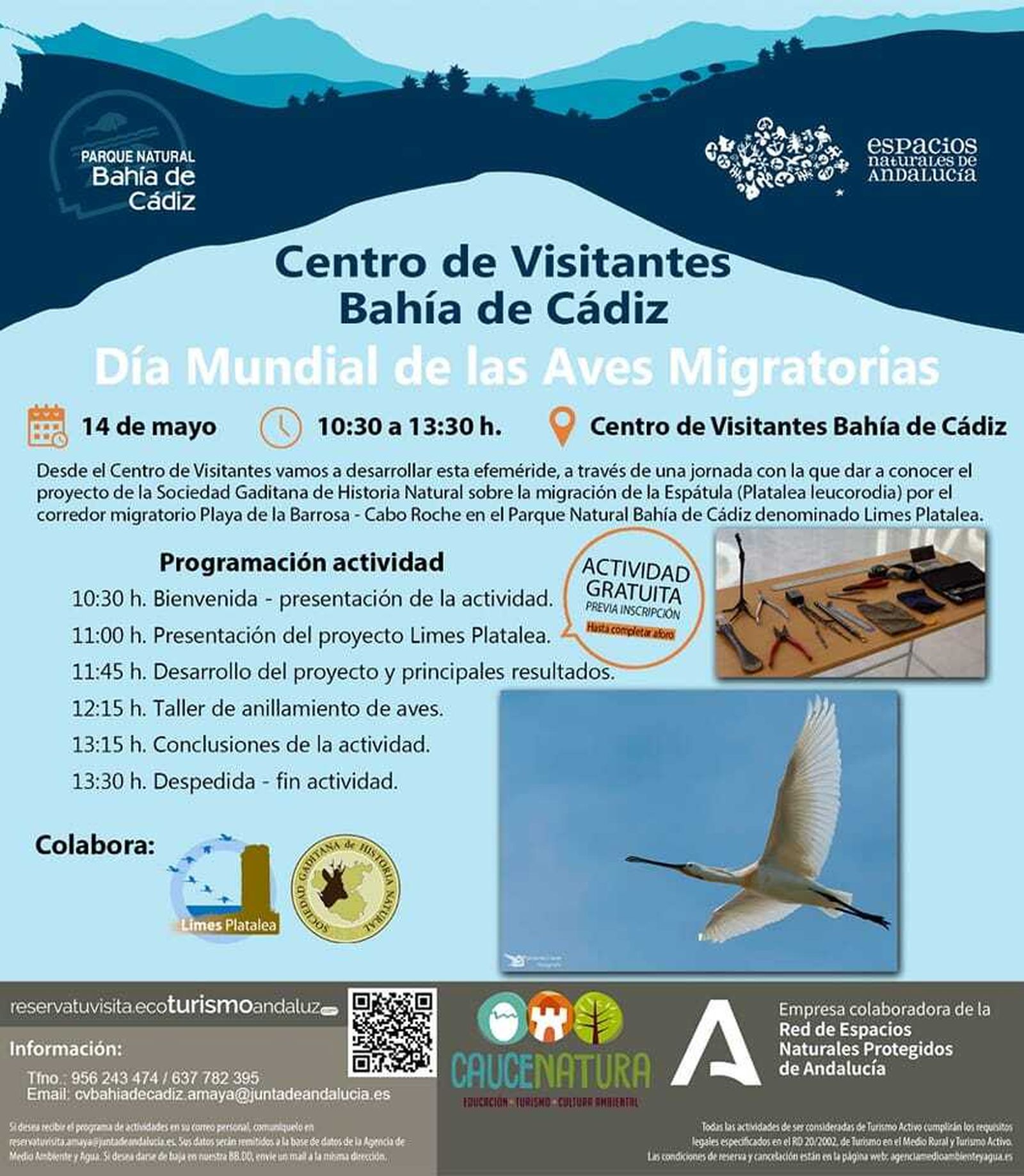 Cartel anunciador de la jornada dedicada al Día Mundial de las Aves Migratorias en San Fernando.
