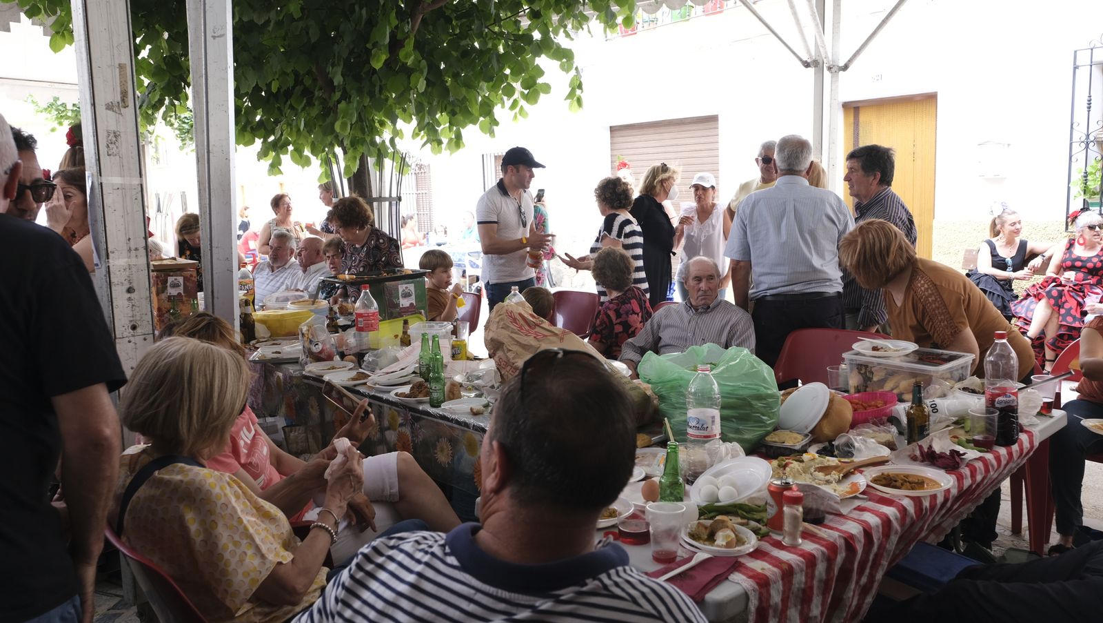 Imágenes del concurso de cata de vinos de las Fiestas de Abrucena 2022