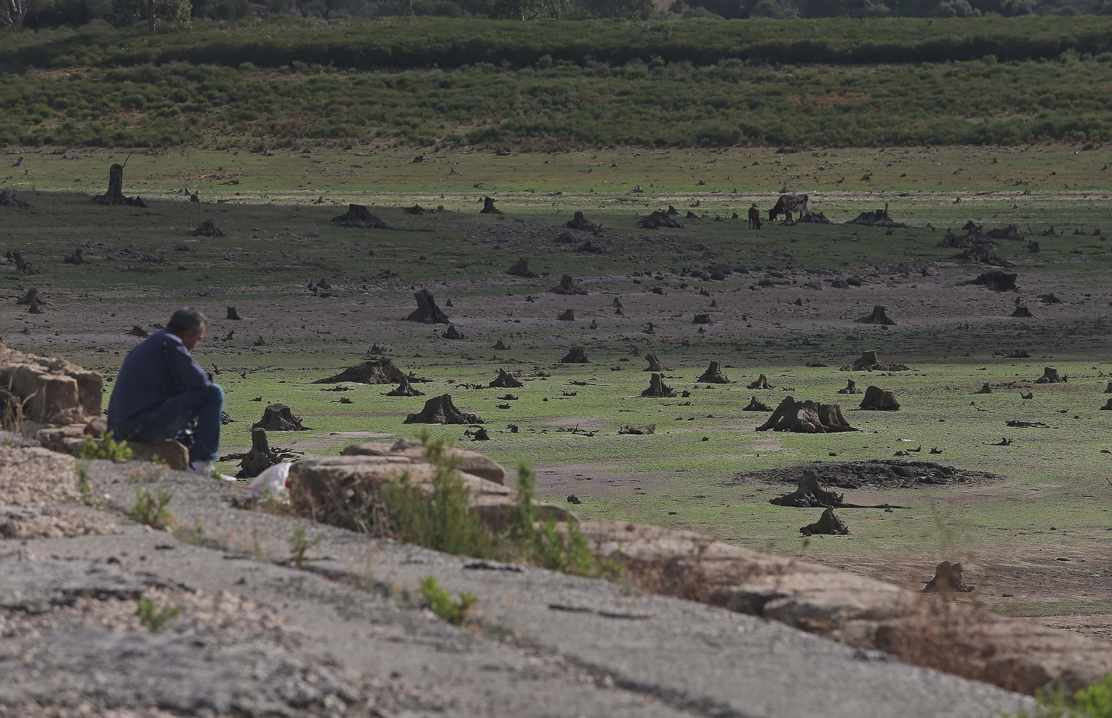 Imágenes del pantano de Charco Redondo en Los Barrios