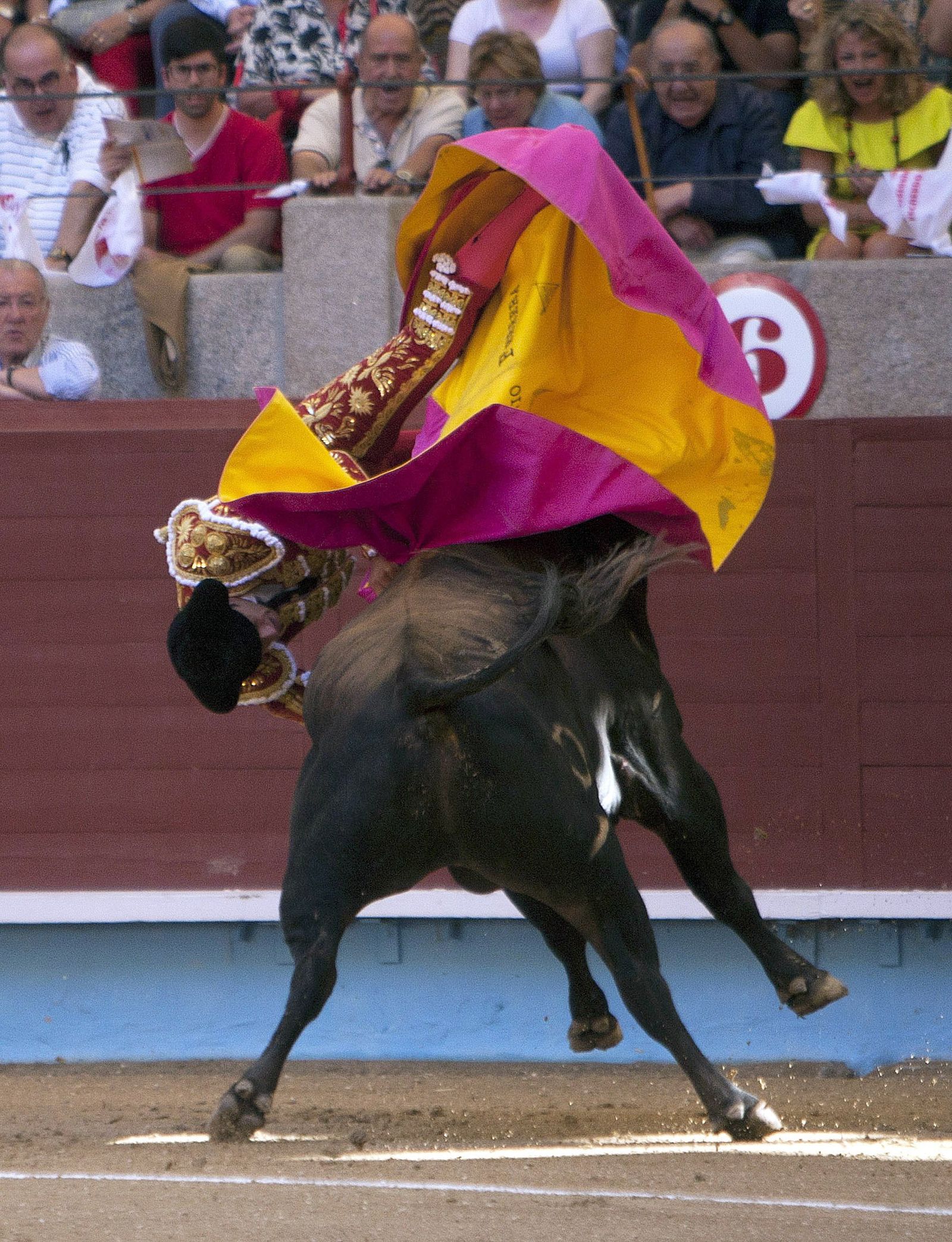 Ferrera, cogido en Pontevedra.