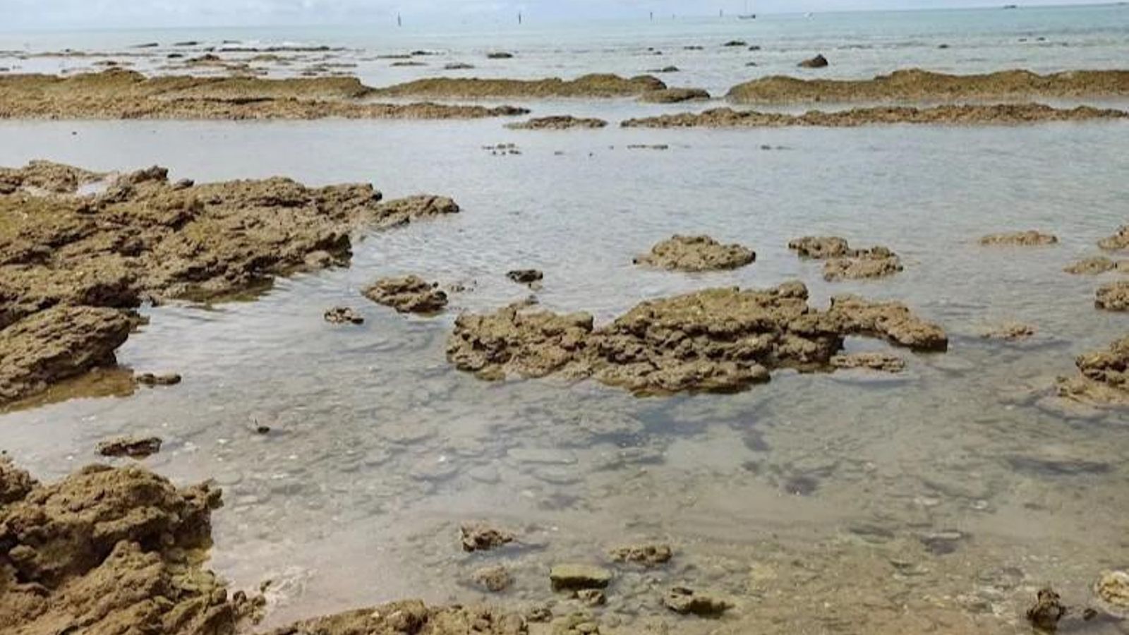 Piscinas naturales que se forman en la playa de Lavaculos (Chiclana) Piscinas naturales que se forman en la playa de Lavaculos (Chiclana)