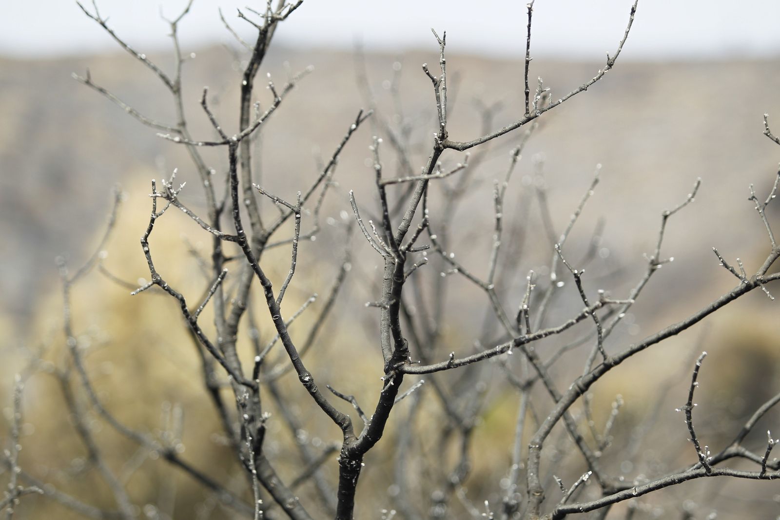 Fotogalería incendio extinguido Sierra de Gádor
