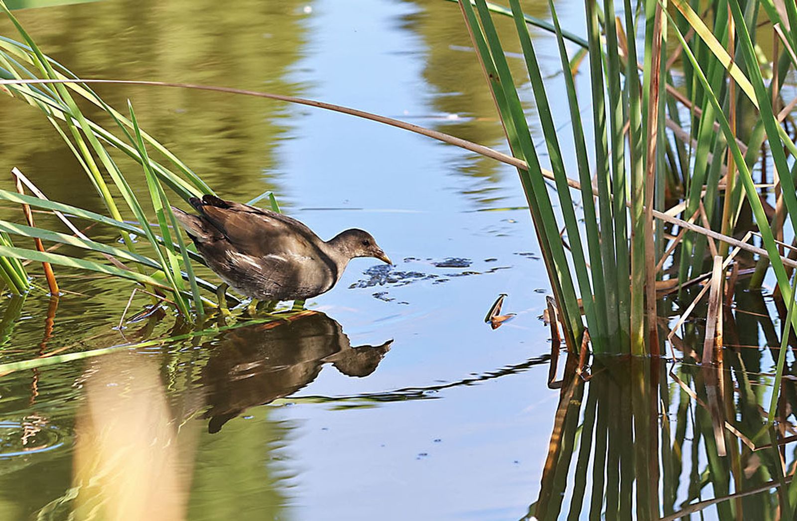 Las imágenes más destacadas del martes 21 de mayo en Huelva