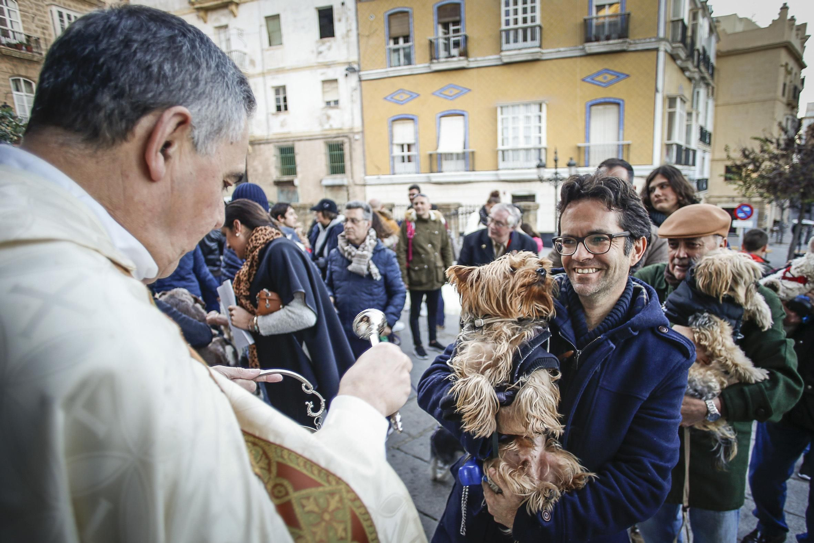 Bendición de animales en Santo Domingo