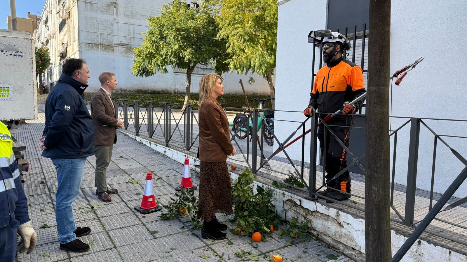 Trabajos de poda de naranjos de las calles de la capital.