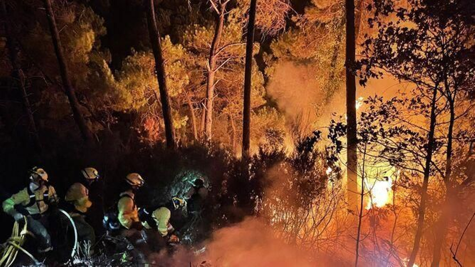 Las fotos del incendio que afecta a Jubrique, Genalguacil y Estepona