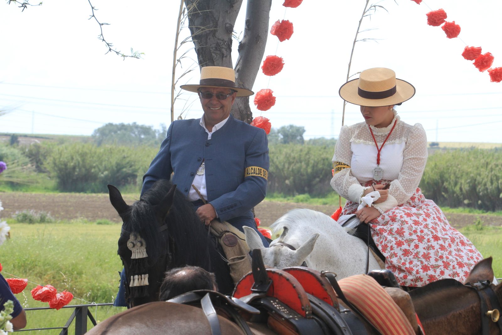 Imágenes de la romería de la Ribera