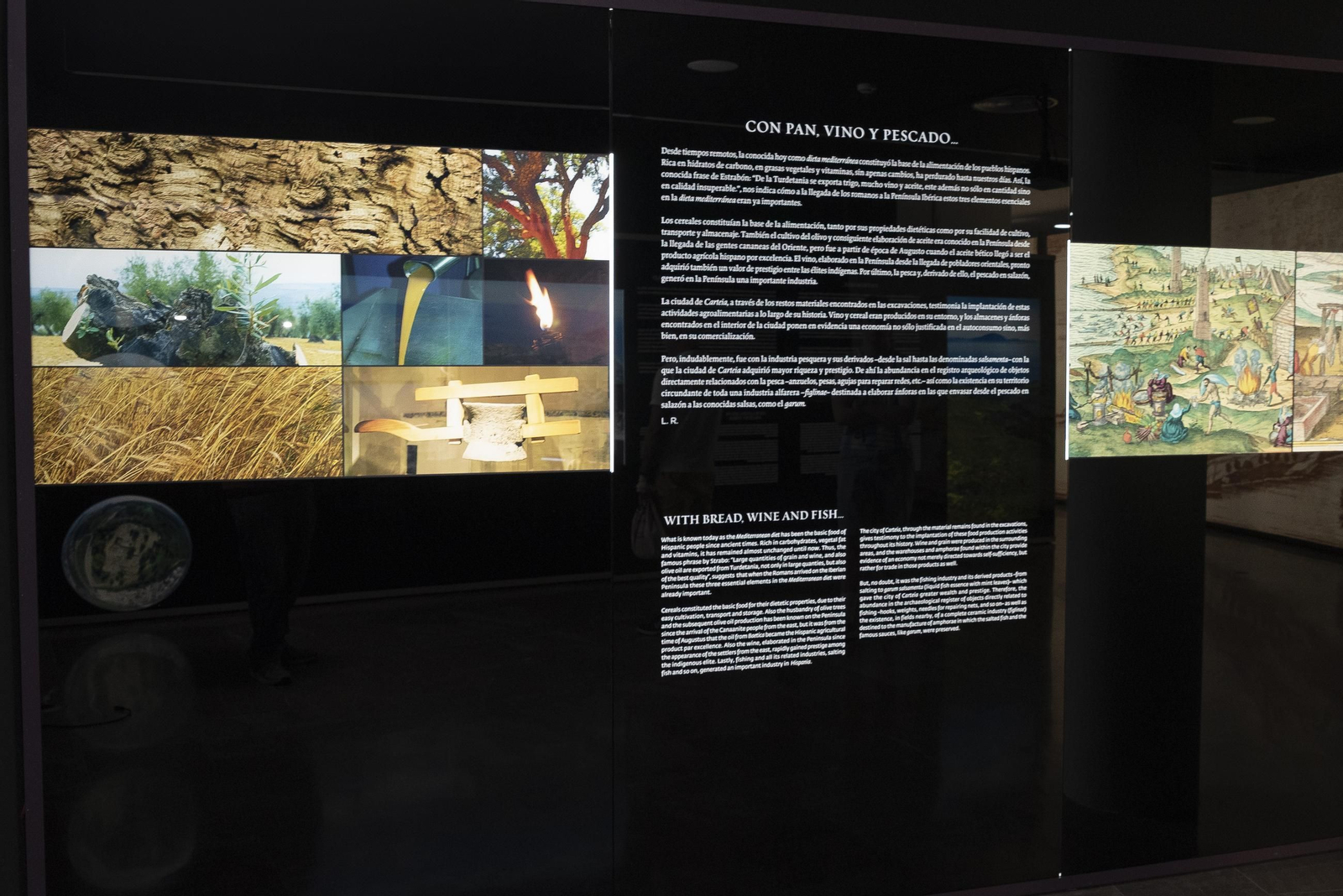 Fotos de la exposición permanente de Carteia en el Museo Municipal de San Roque