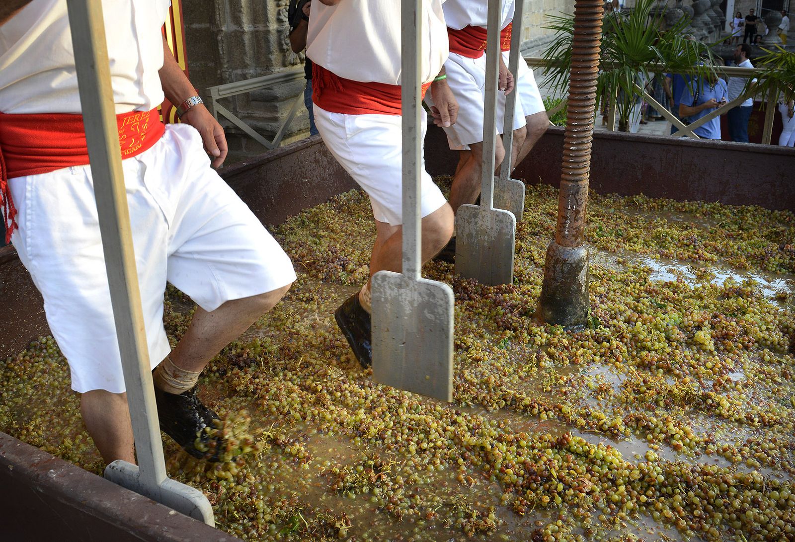 Imagen del acto oficial de la Pisa de la Uva en una edición anterior de las Fiestas de la Vendimia.