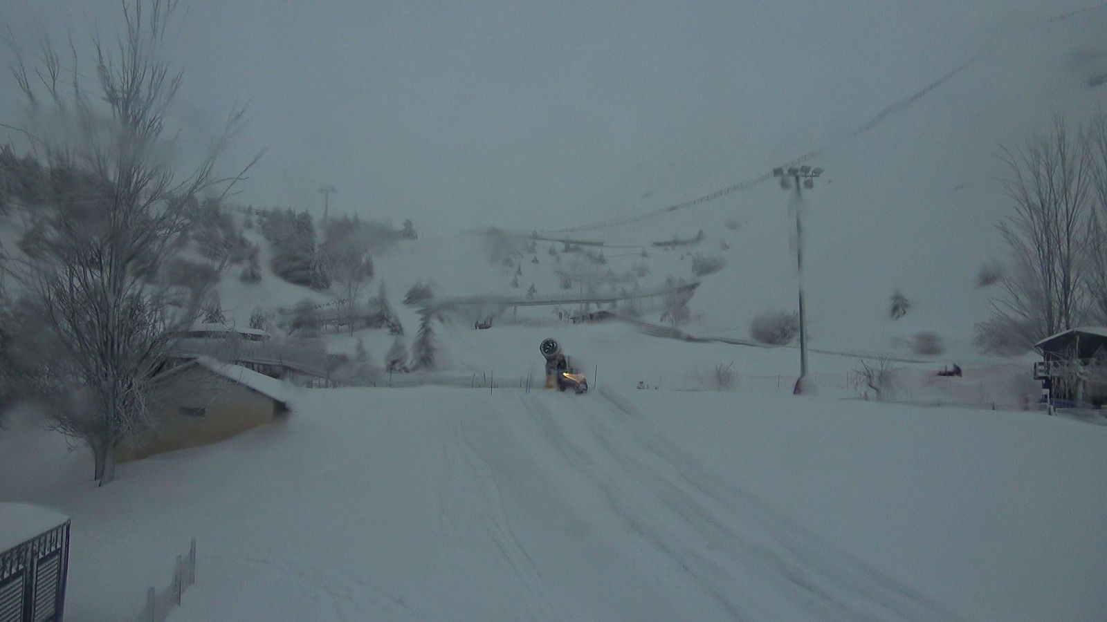 Estado de la zona de Mirlo Blanco