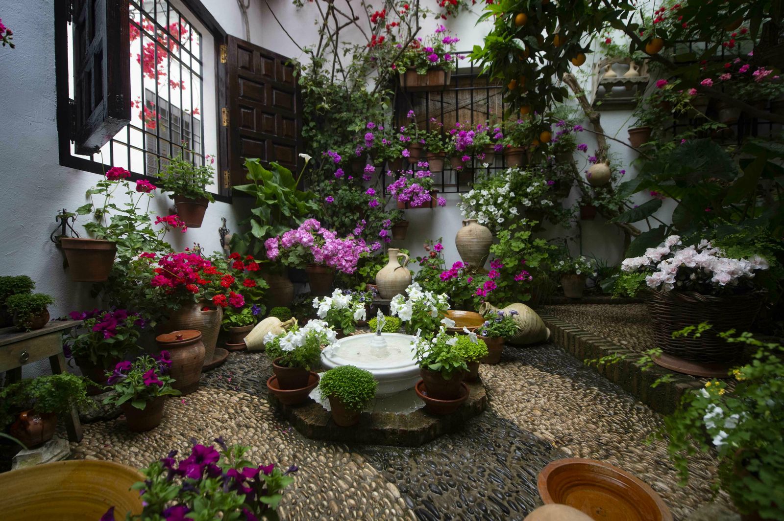 En imágenes: la ruta de los Patios Santa Marina-San Agustín