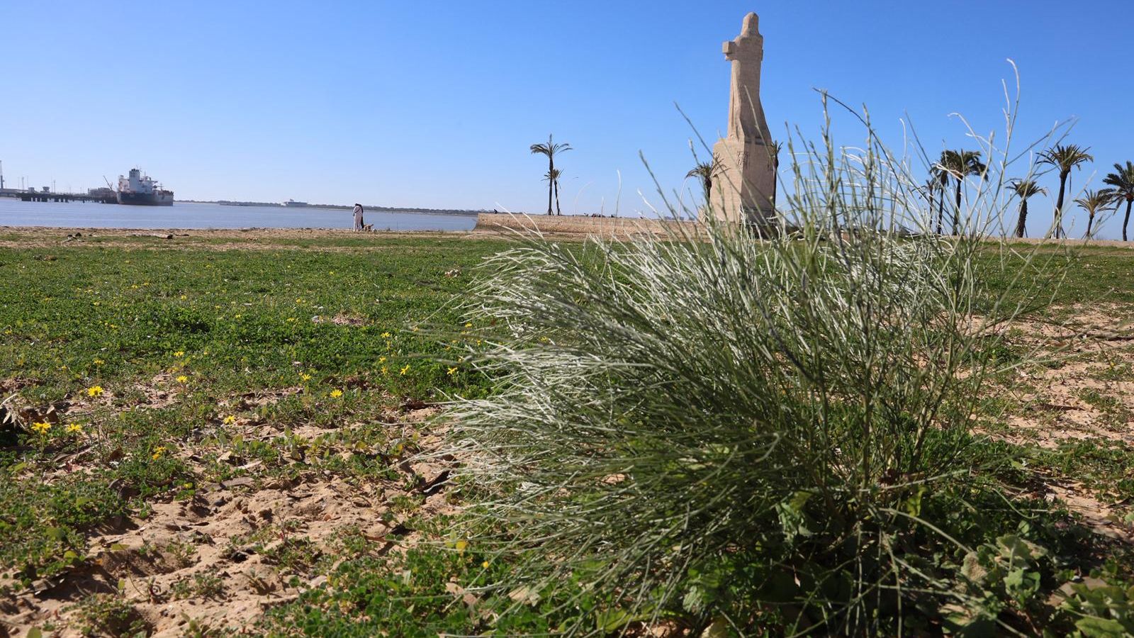 La Punta del Sebo cubierta de un manto verde.