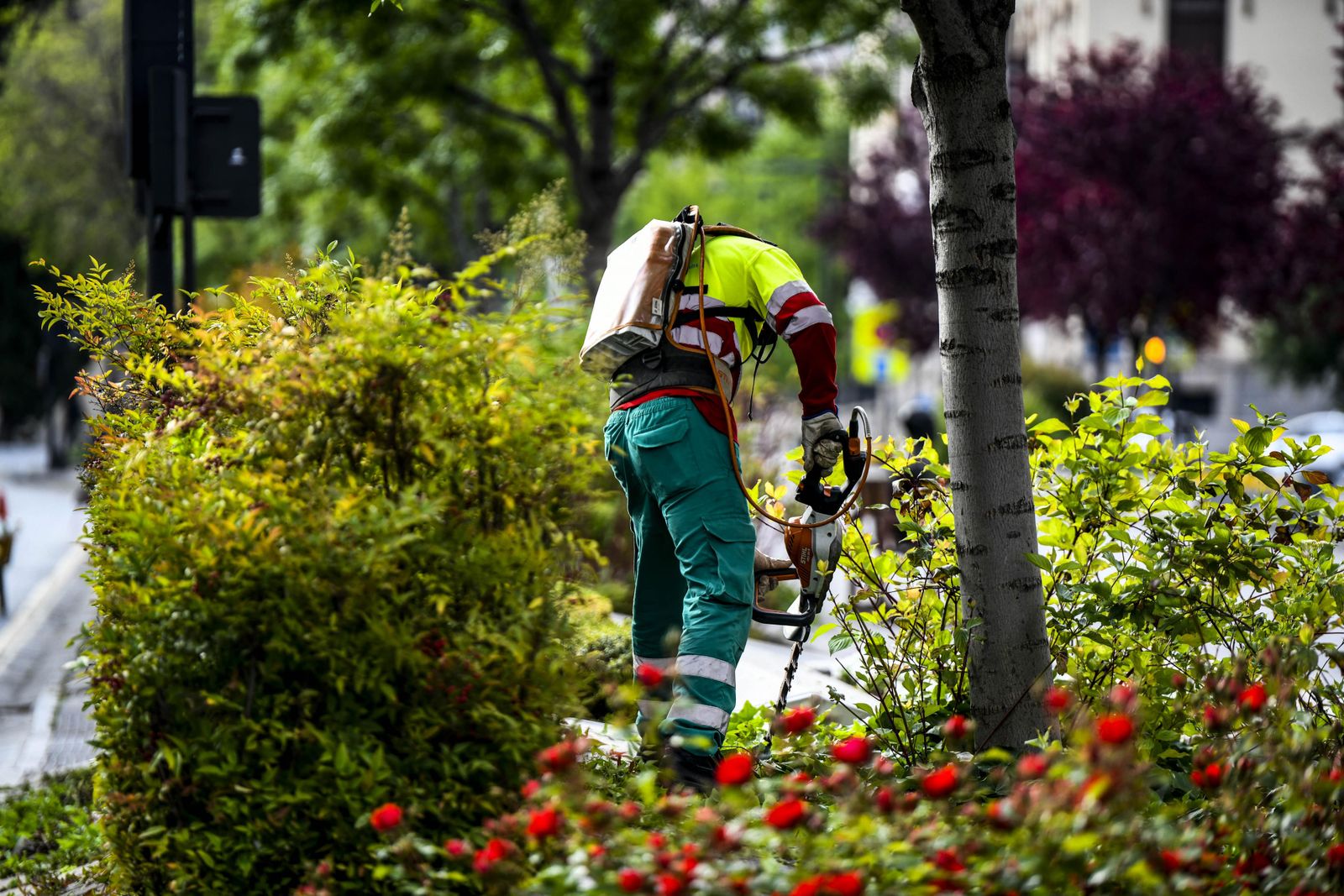 Las empresas Soriguè y Eulen prestan este servicio en al ciudad divididos en dos zonas.