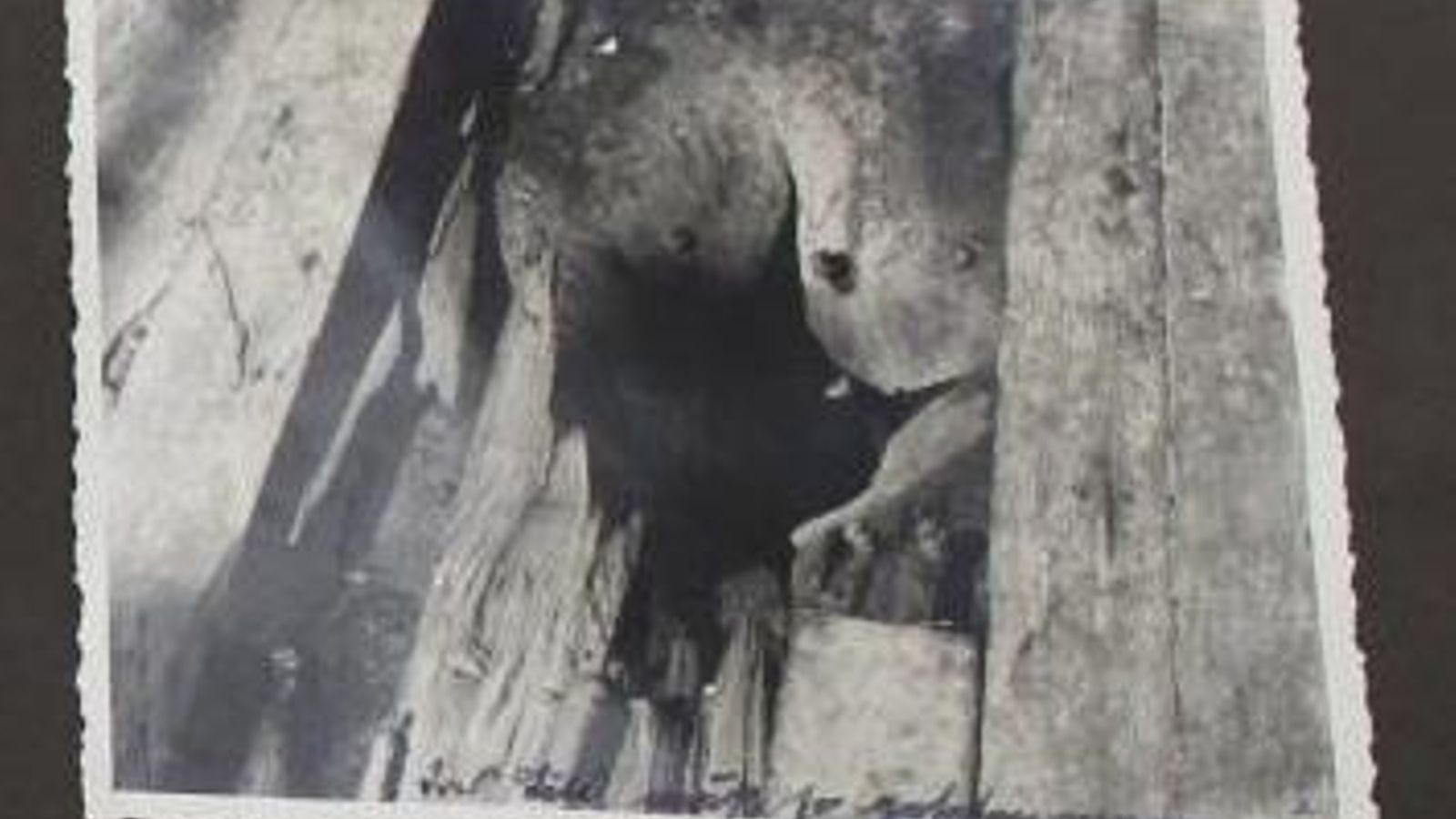 Agujero en los tablones