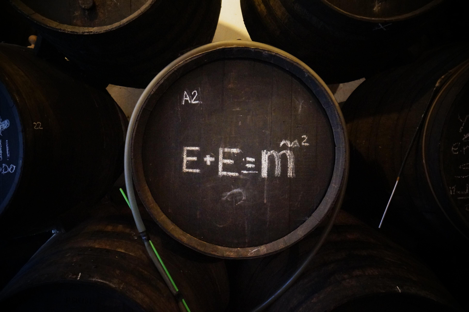 Un recorrido en fotografías por el vino nuevo de Moriles