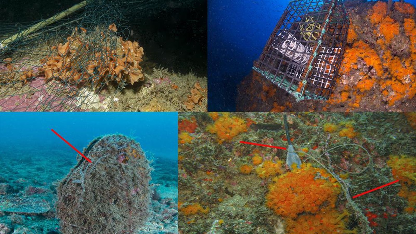 Algunos restos de pesca abandonados en el fondo marino