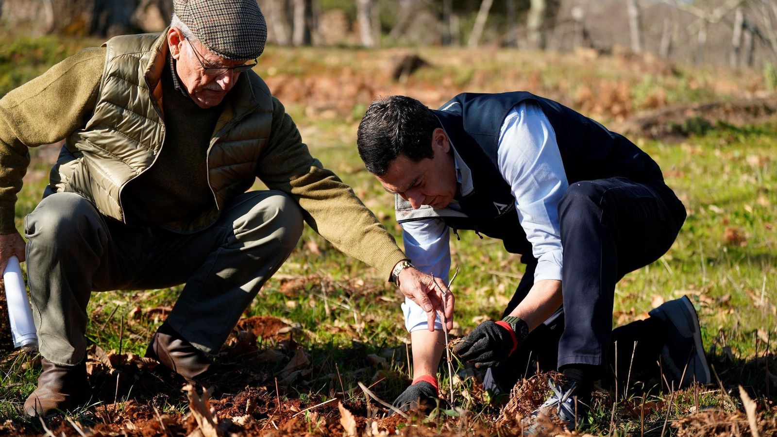Juanma Moreno, presidente de la Junta de Andalucía, recogiendo castañas en Castaño del Robledo