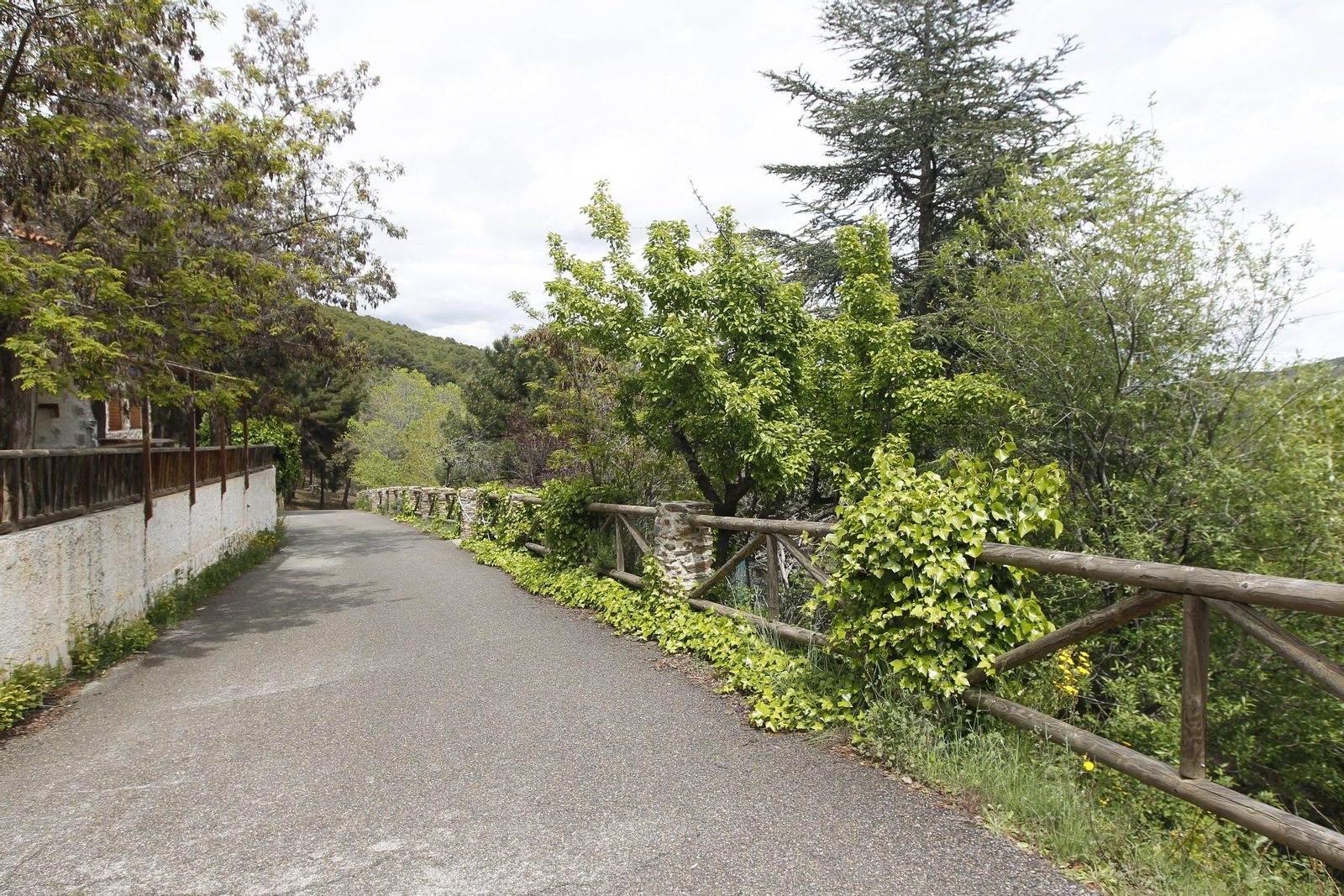 Naturaleza desconfinada. La Roza (Abrucena)