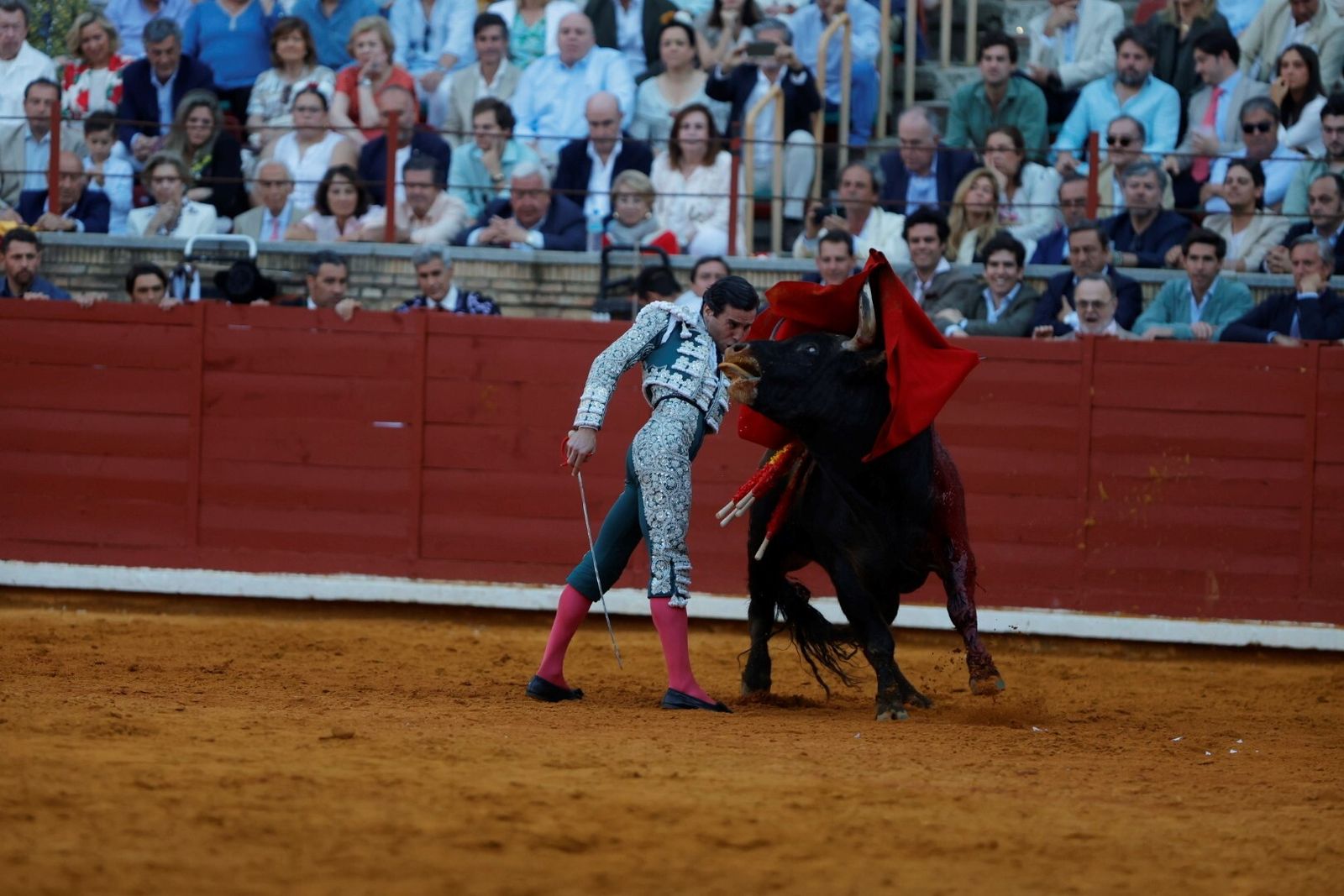 Las mejores fotos de la corrida de Morante, Ortega y Roca Rey en la Feria Taurina de Córdoba