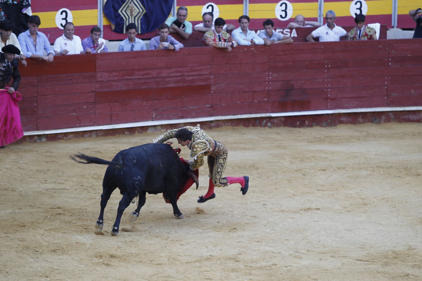 Fotogalería novillada Escuela Taurina de Almería. Feria de Almería 2019