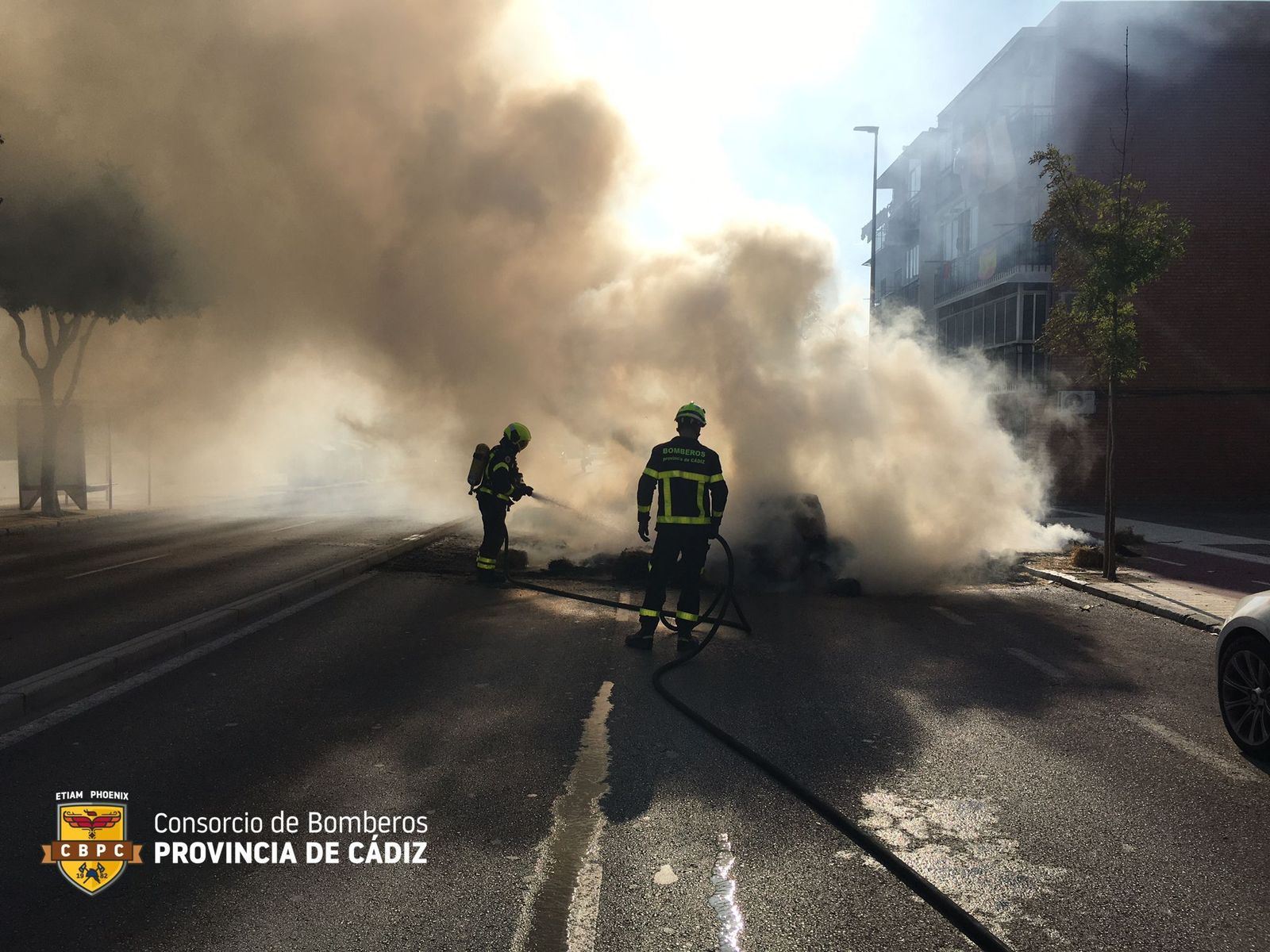 Un momento de la intervención en la avenida Ingeniero Ángel Mayo.