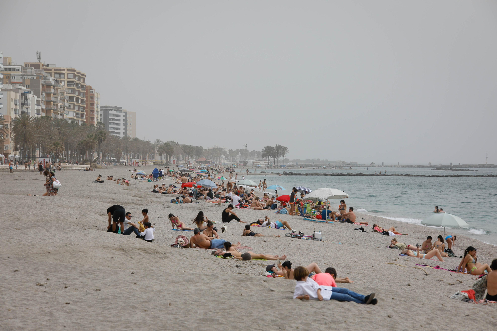 La calima de Almería en imágenes