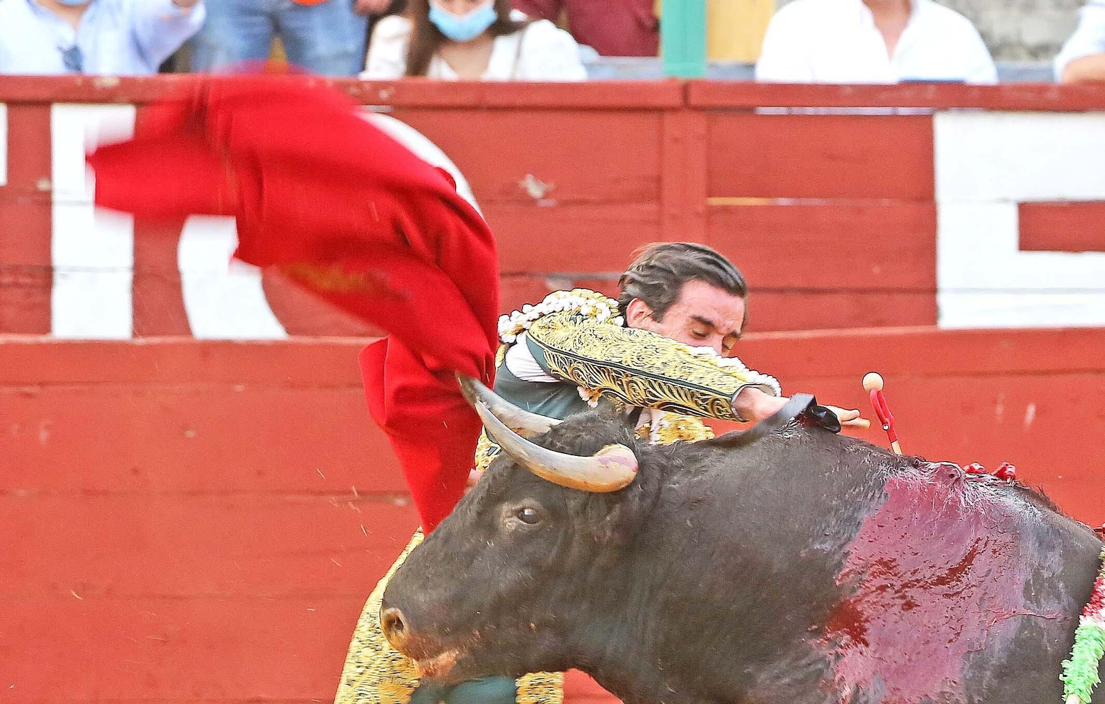 Imágenes de la vuelta de los toros a Jerez Imágenes de la vuelta de los toros a Jerez