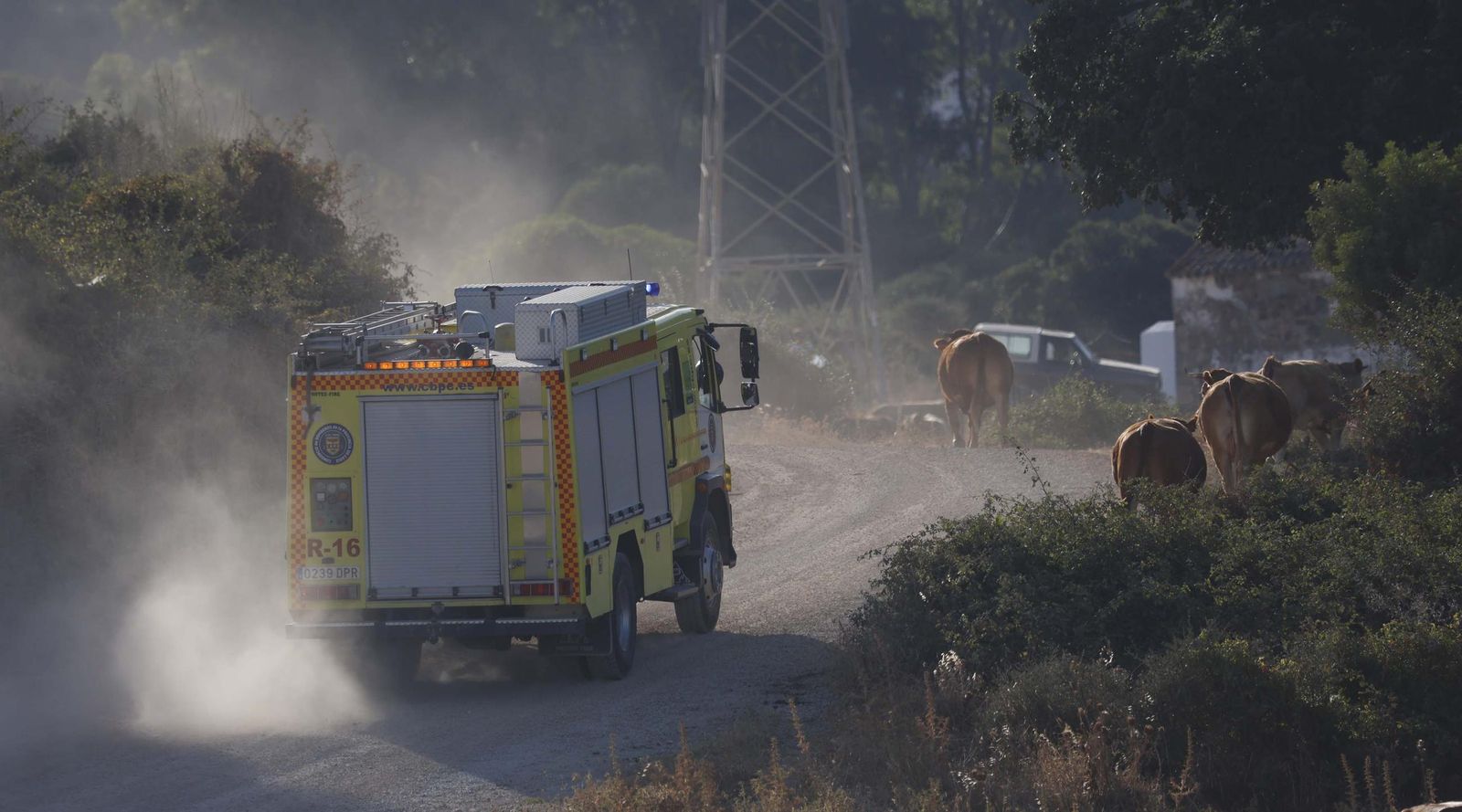 Las fotos del incendio forestal entre las Pantallas y Marchenilla, en Algeciras