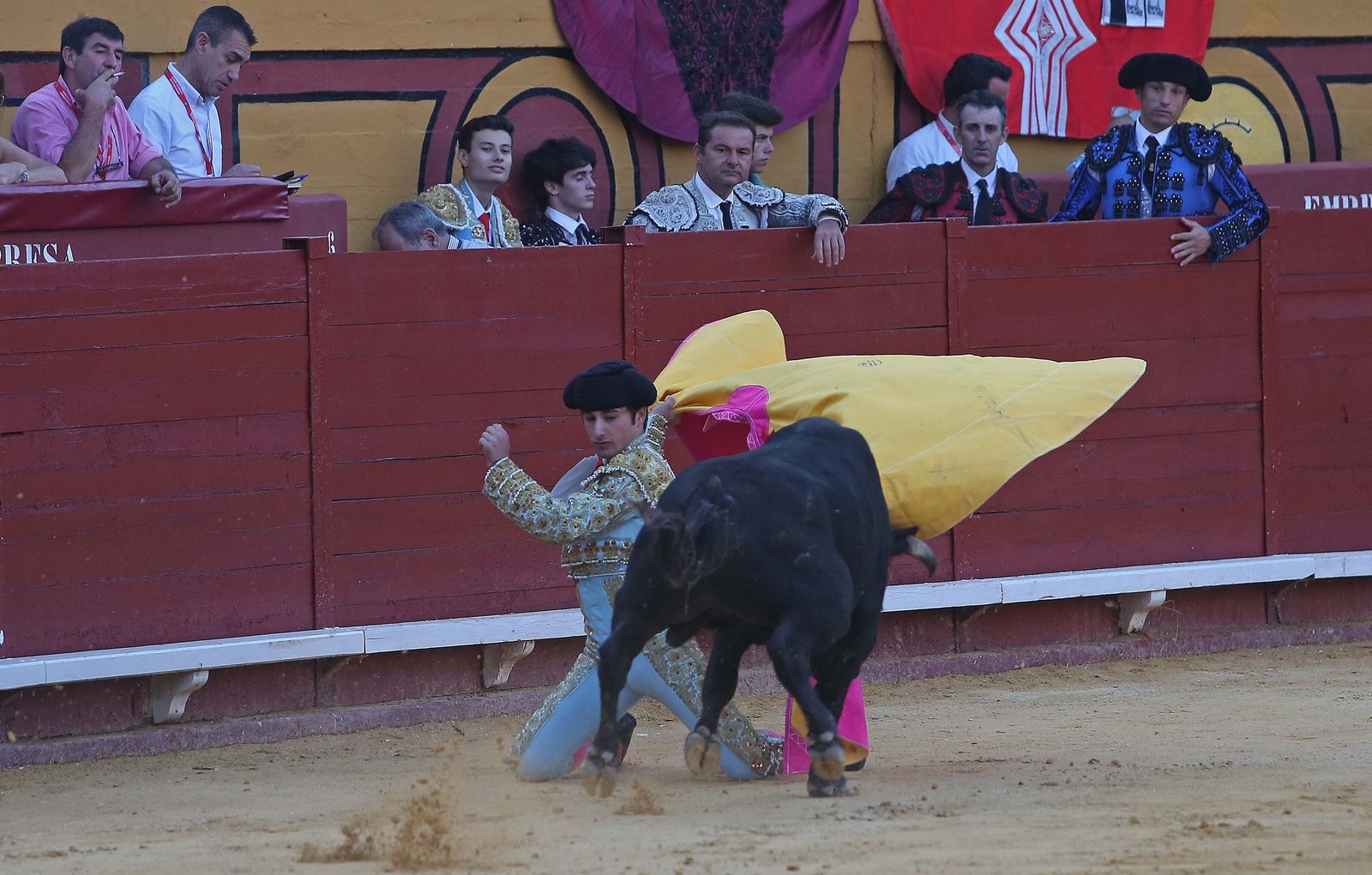 La novillada de Miguelín que abre la feria de Algeciras, en imágenes