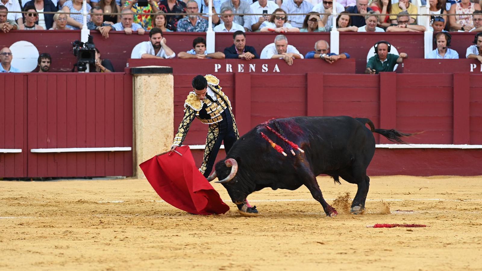 Talavante, ante el primero de su lote. Talavante, ante el primero de su lote.