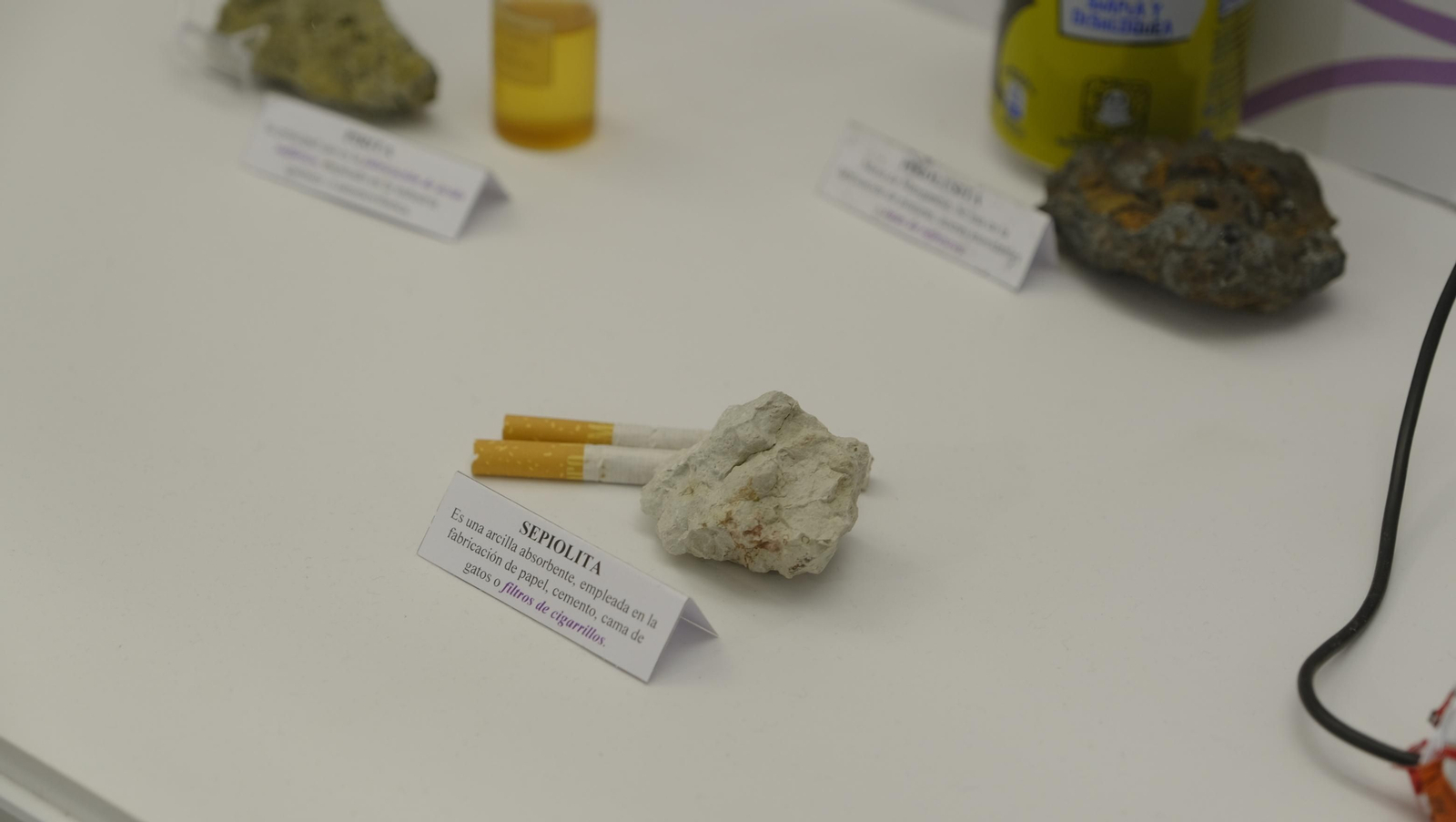 Descubre en estas fotos las maravillas que esconde el Pabellón de Historia Natural de la UAL