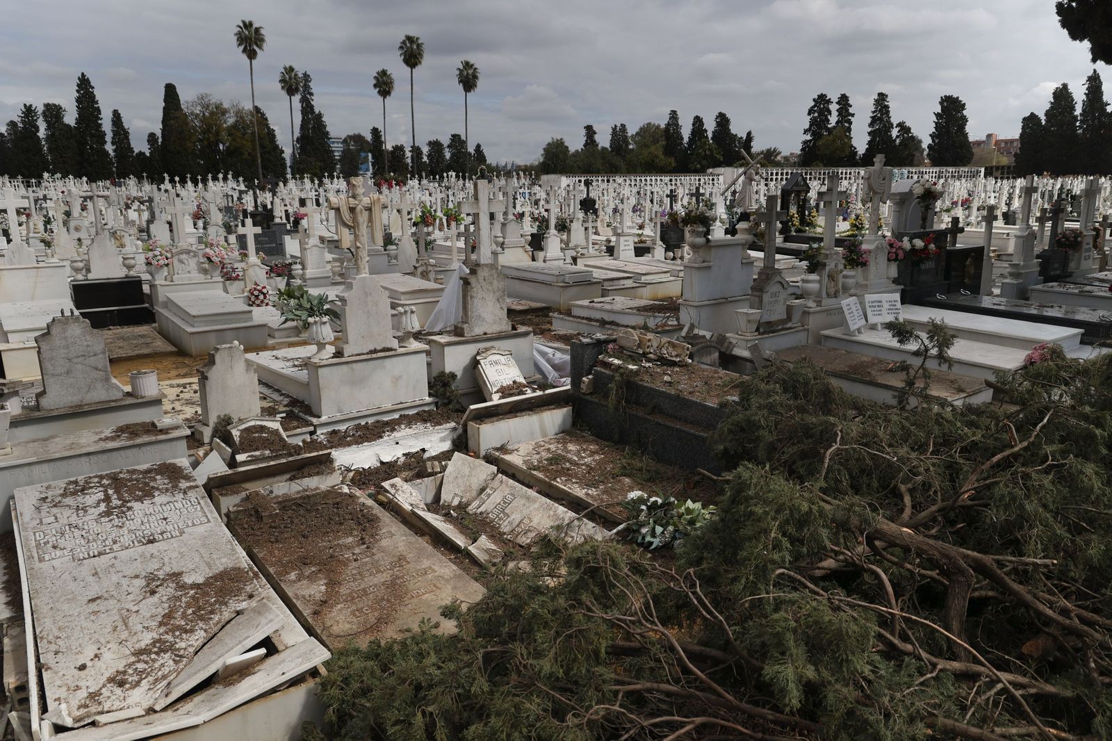Destrozos provocados en las lápidas del cementerio por la caída de árboles