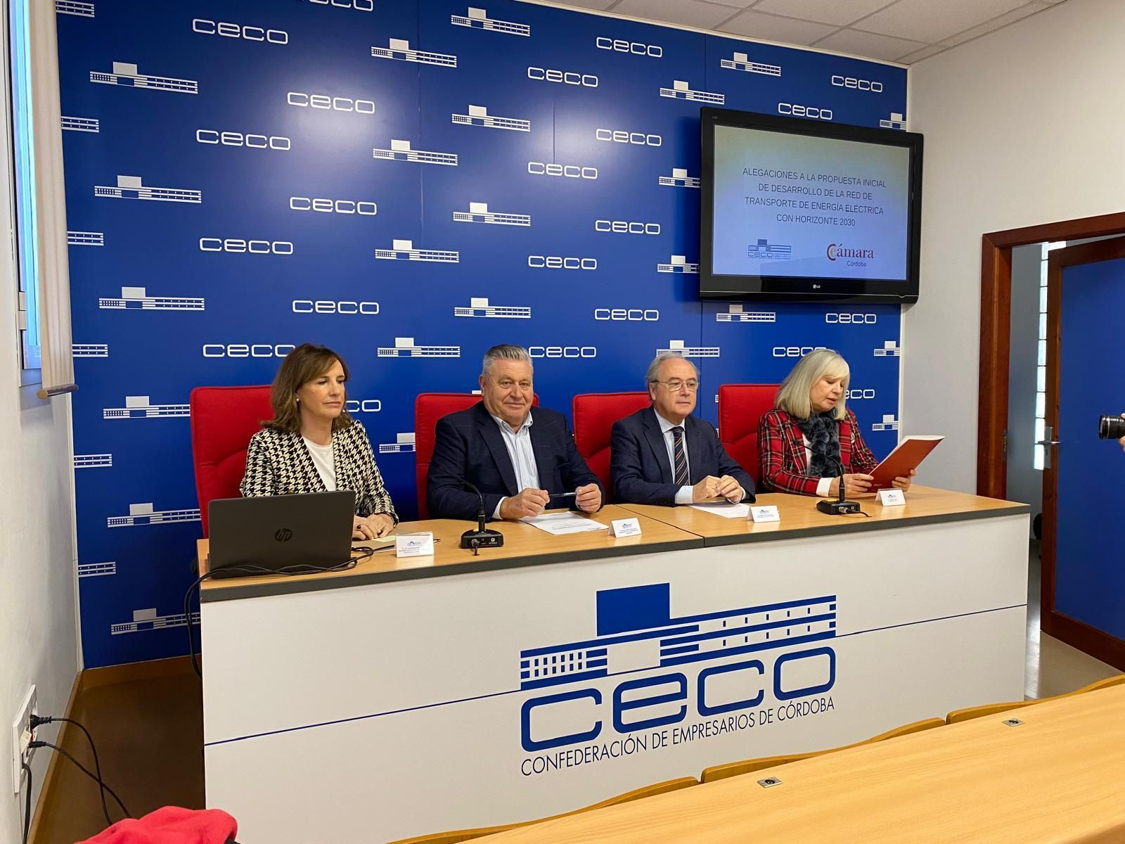 Presentación de las alegaciones de CECO a la planificación eléctrica del Gobierno