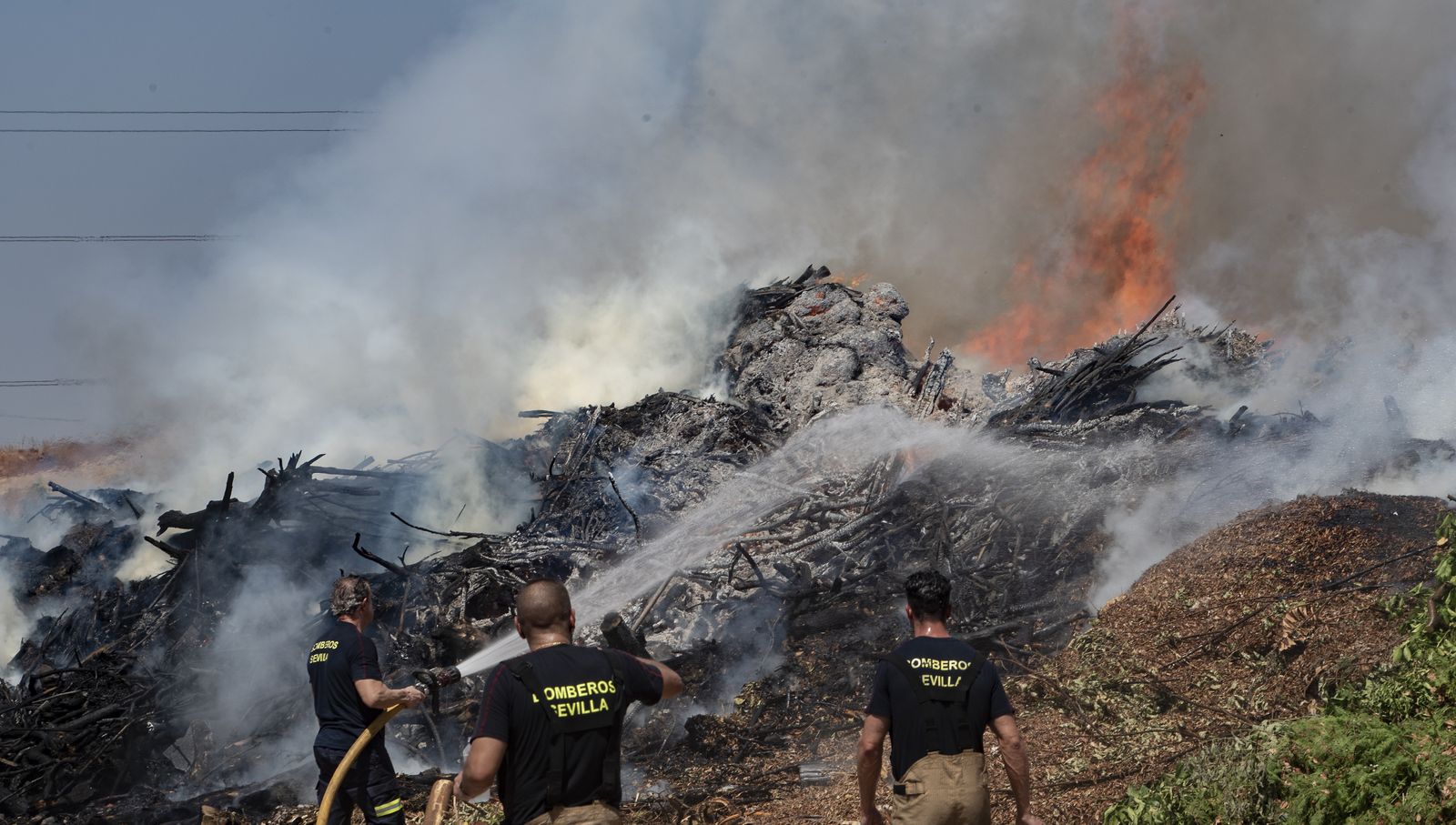 Bomberos de Sevilla extinguen un incendio en una empresa residuos vegetales
