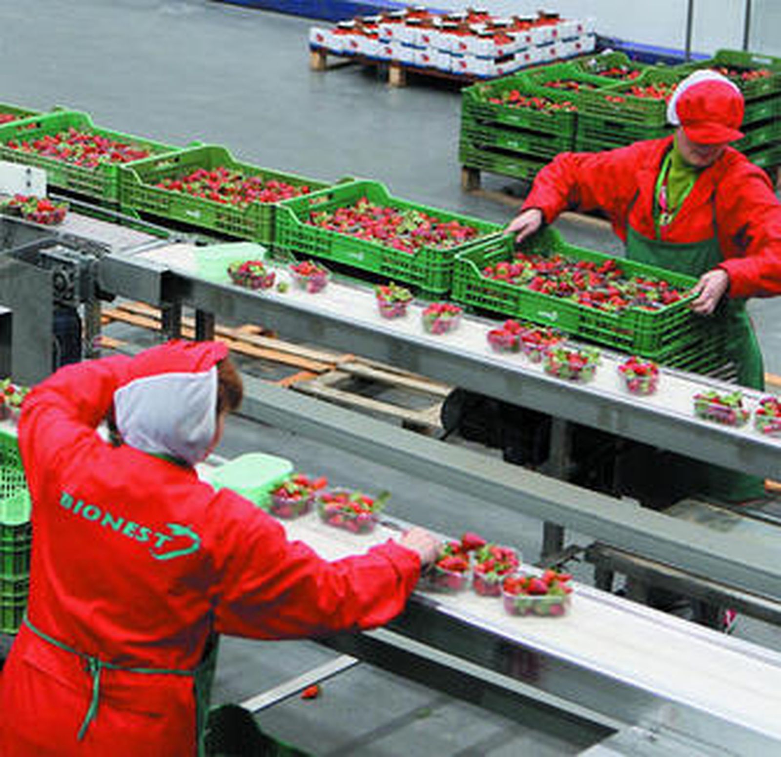 La planta de envasado de Bionest, que cuenta con producción ecológica.