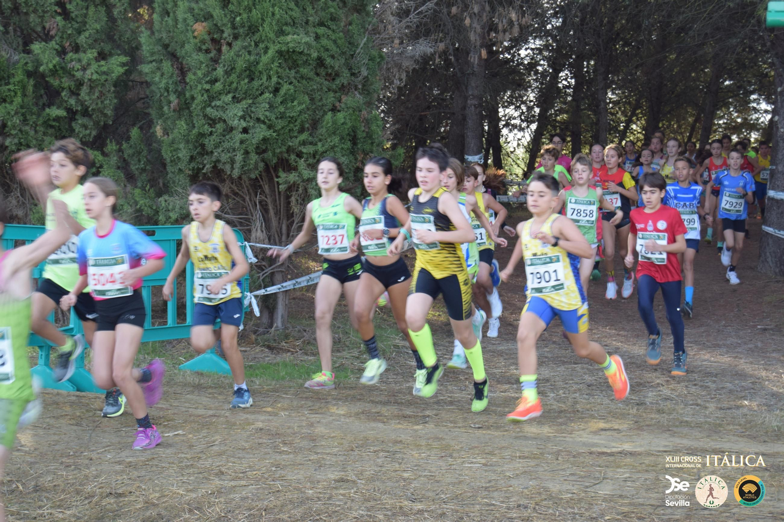 Búscate en las fotos del Cross de Itálica 2025 | 8