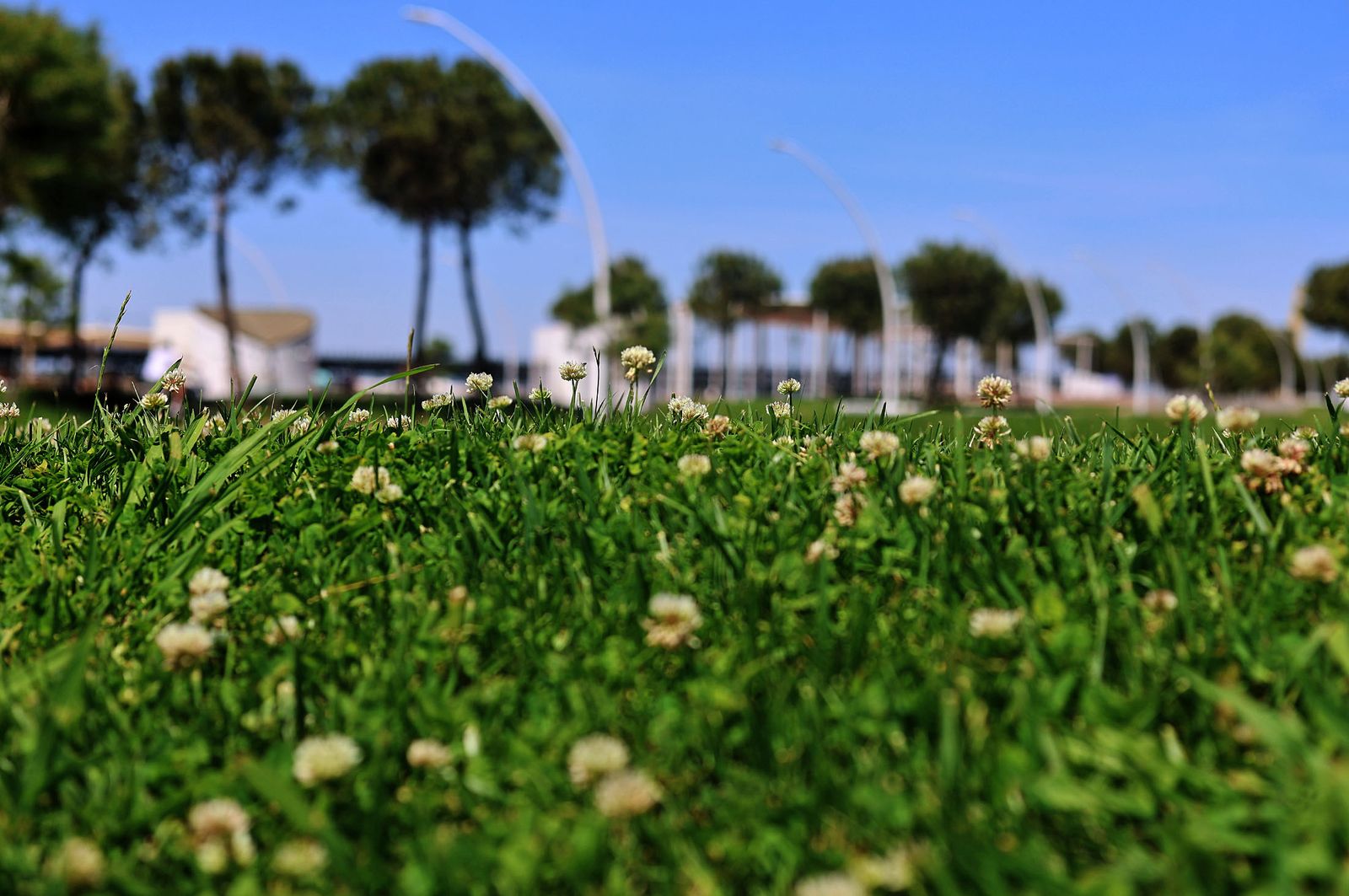Las mejores imágenes del domingo 27 de abril en Huelva