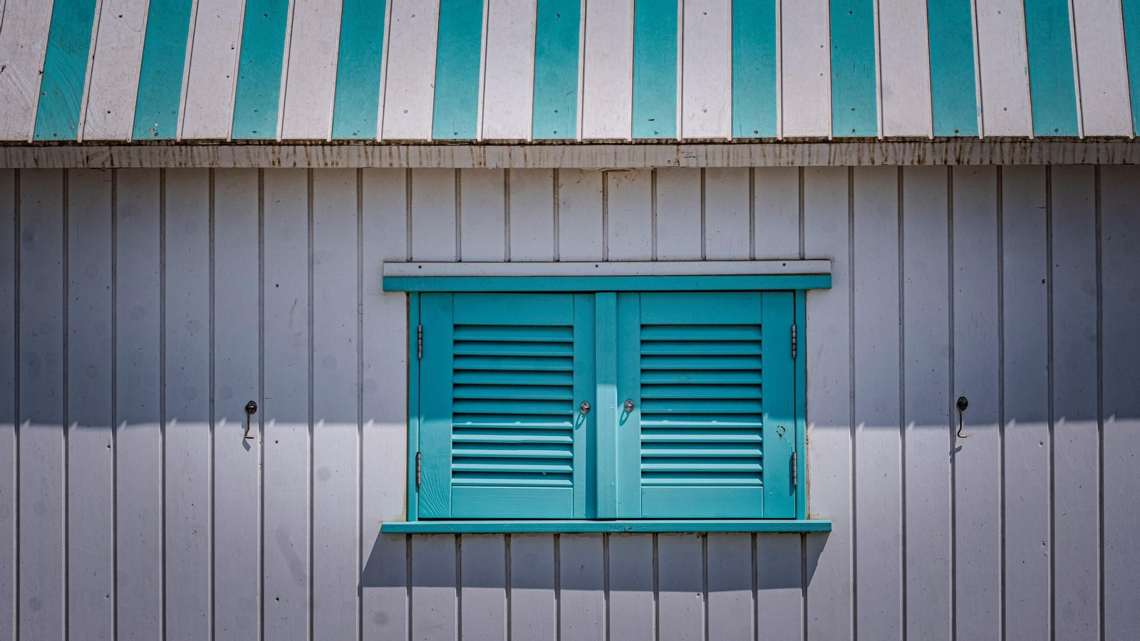 VERANO. SAN FERNANDO (13396014).jpg