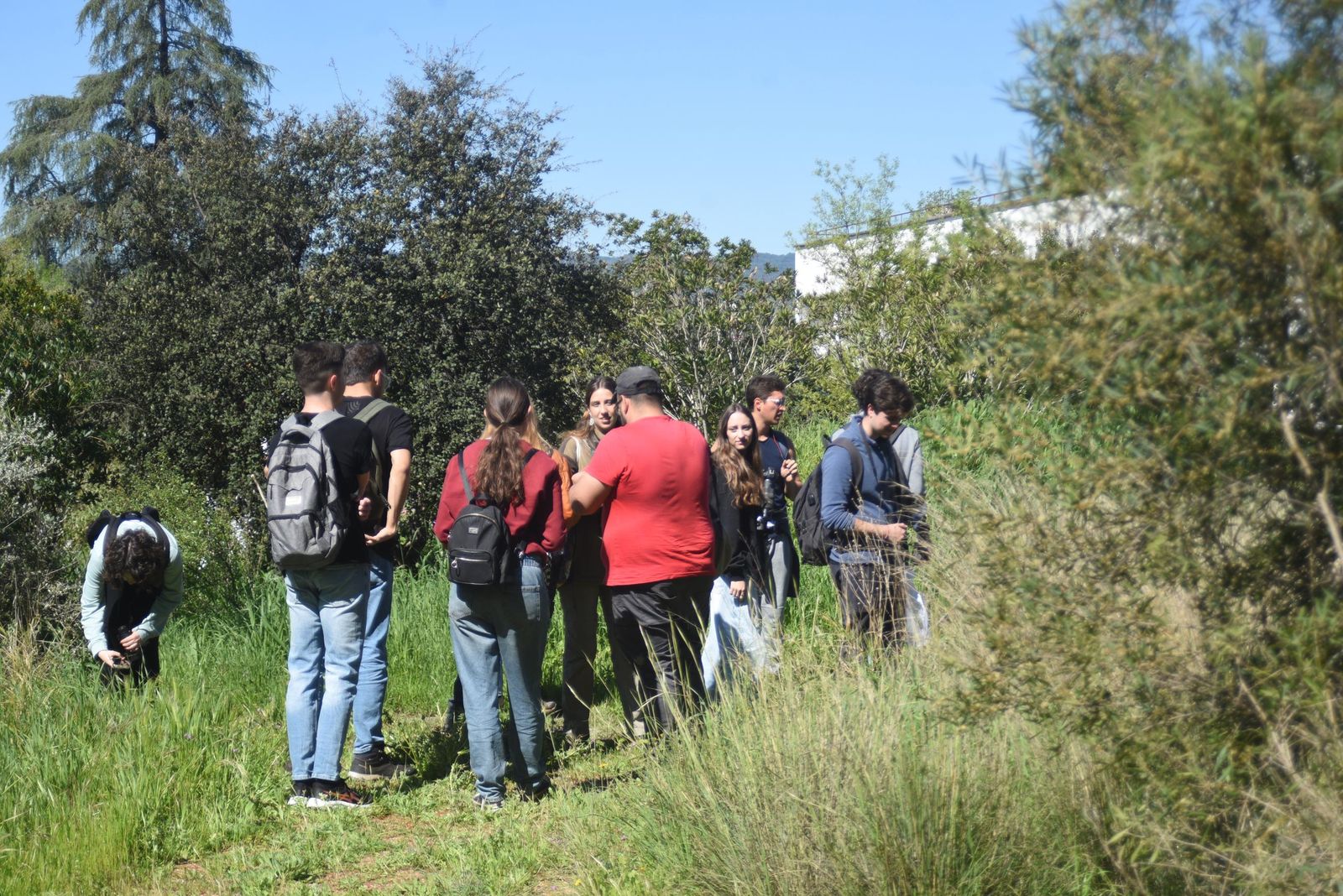 Las mejores imágenes del 'Maratón de identificación de especies' de la Universidad de Córdoba