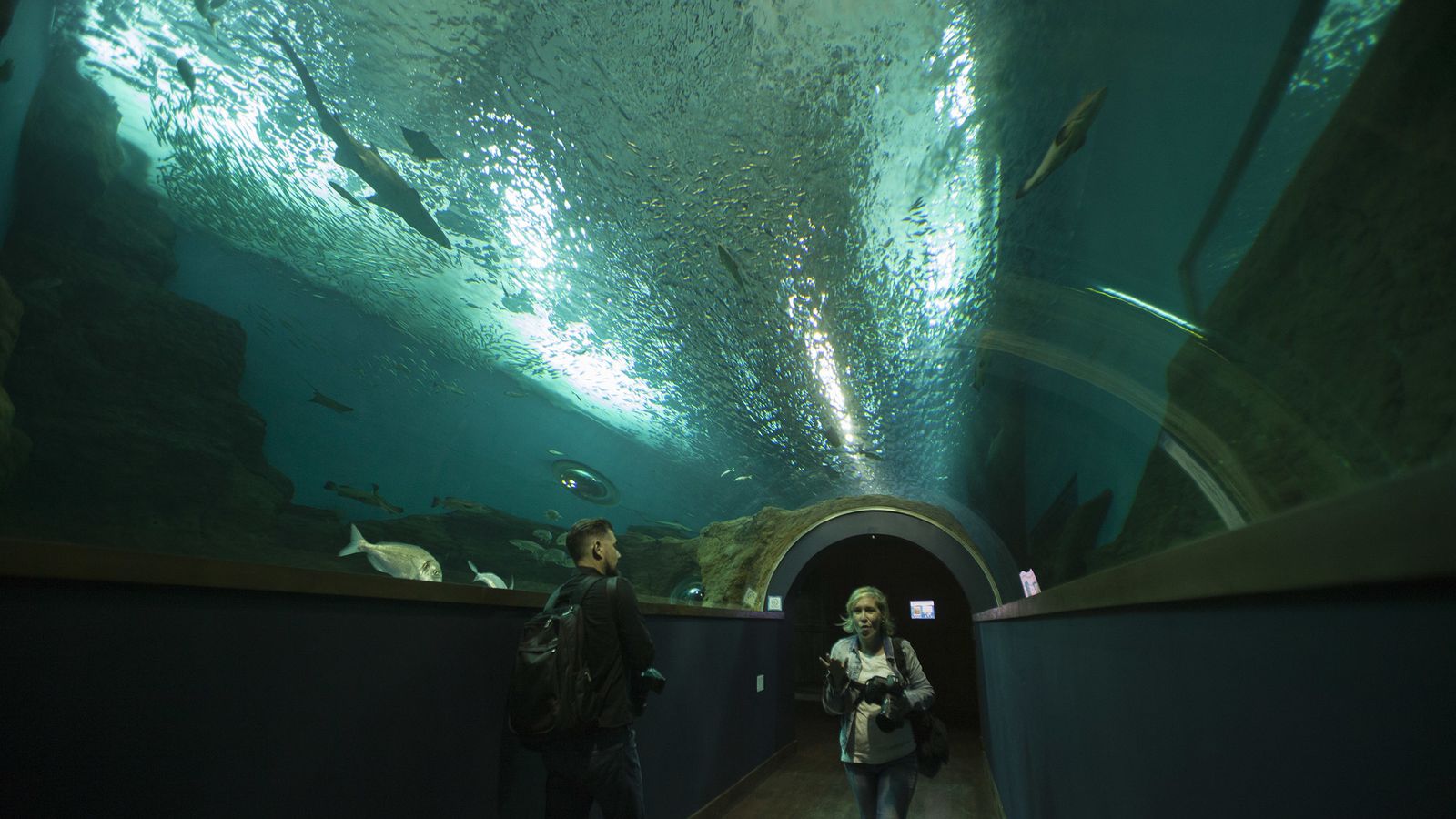 El acuario de Sevilla