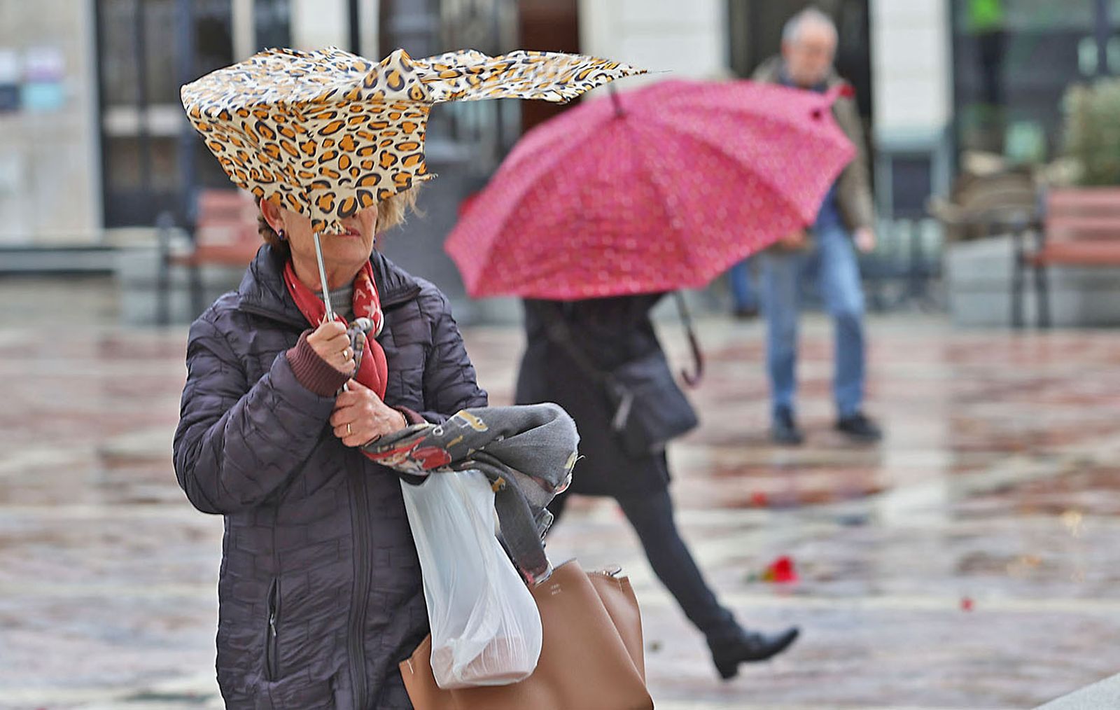 Las imágenes más destacadas del miércoles 17 de enero en Huelva