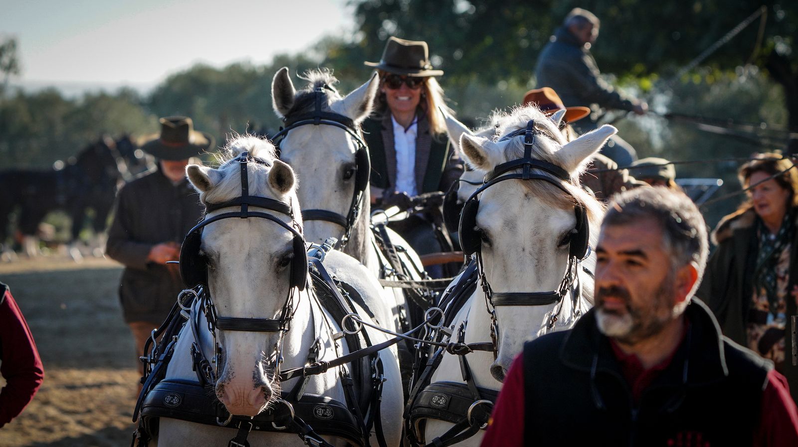 I Ruta de Carruajes Viñas de Jerez